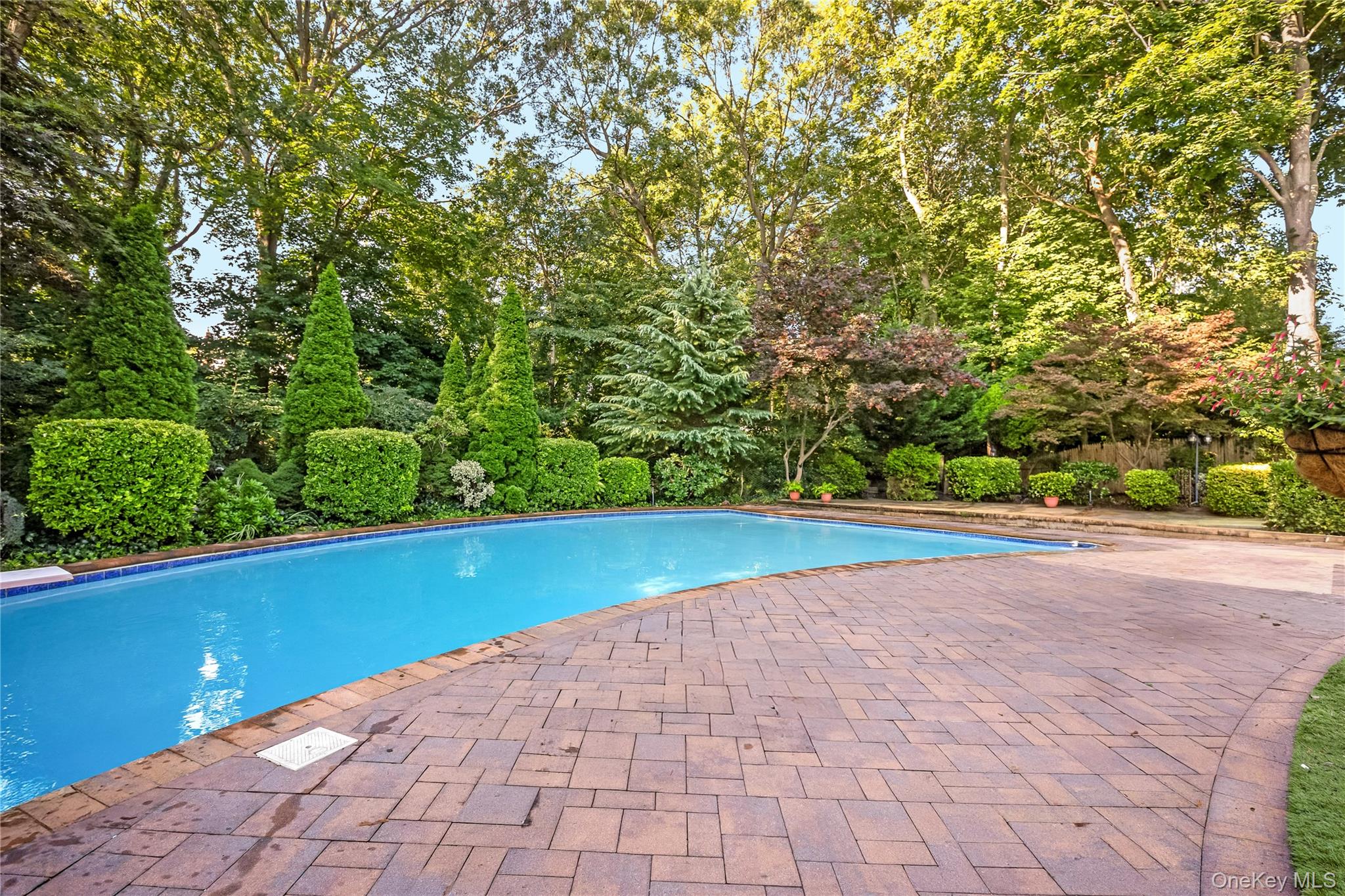 6 Mountain Laurel Lane — photo 36