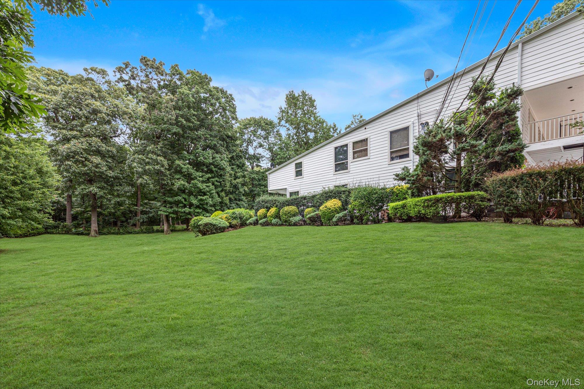 5 Carol Lane — photo 36