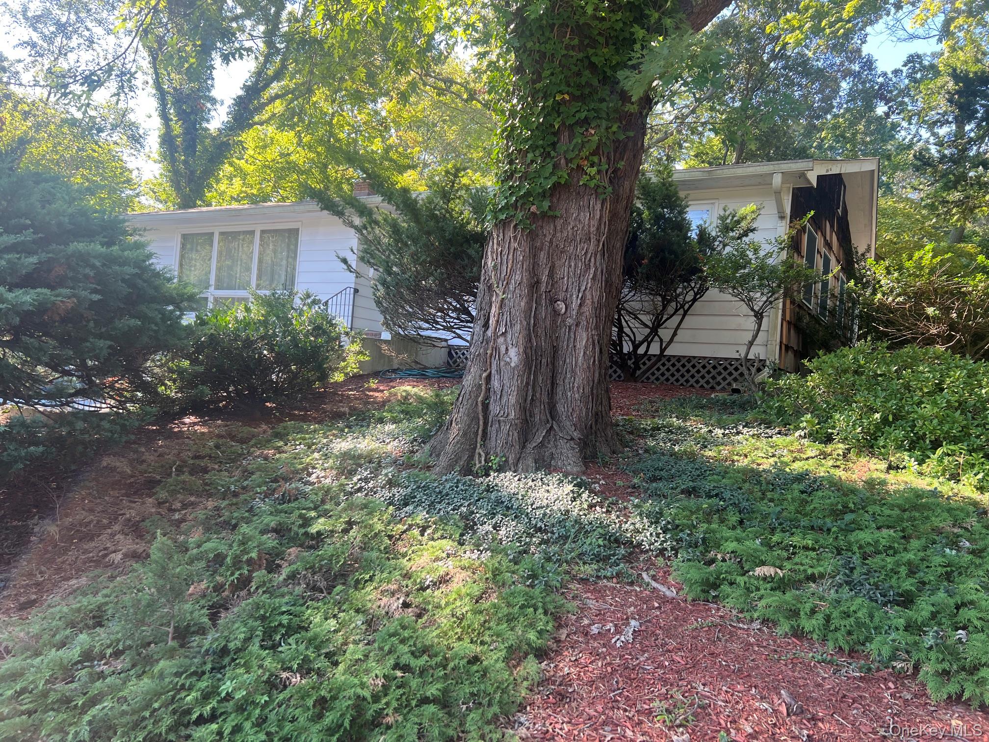 40 Laurel Drive — photo 24