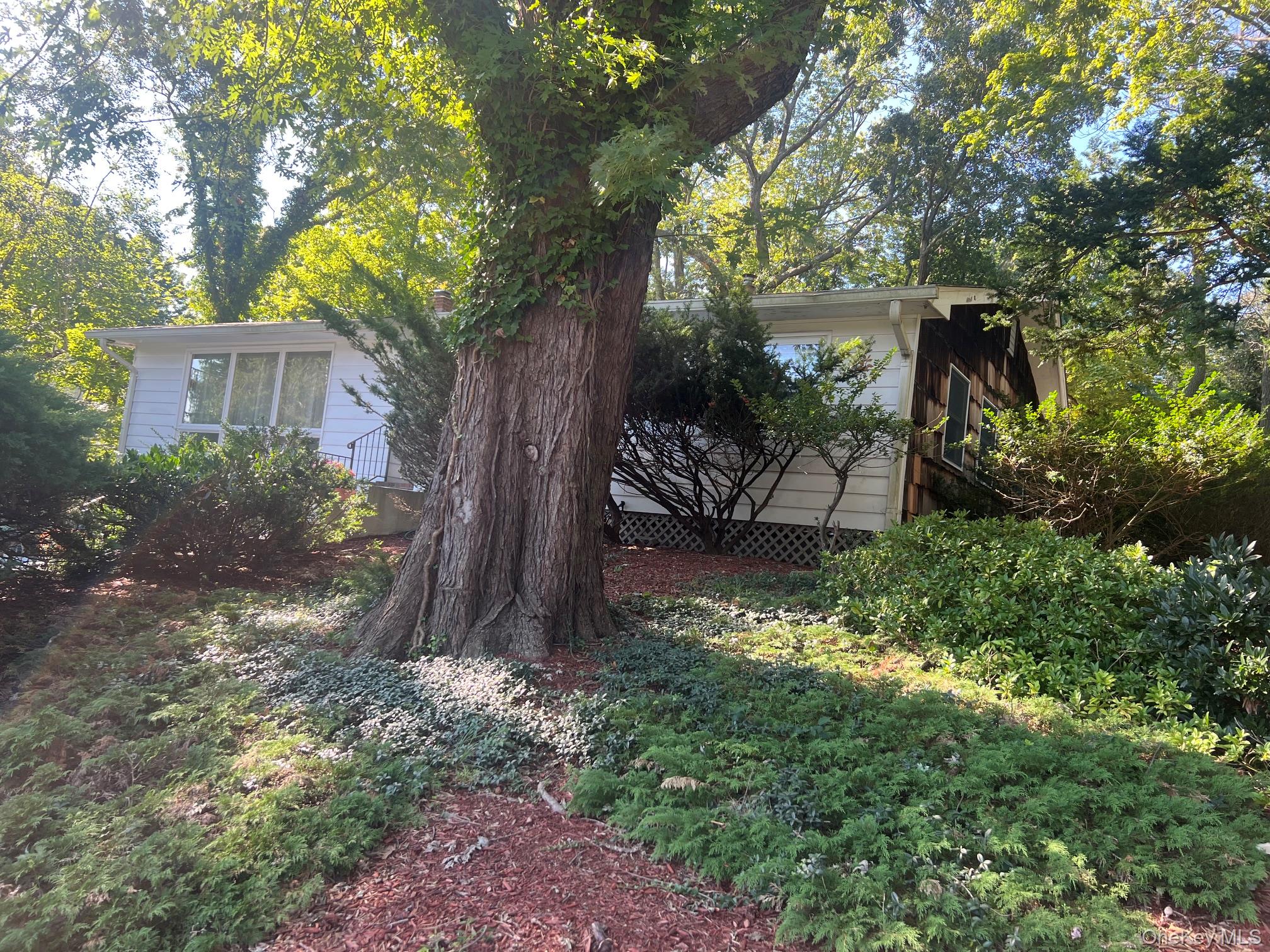 40 Laurel Drive — photo 25