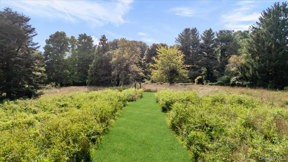 347 Duck Pond Road — photo 45