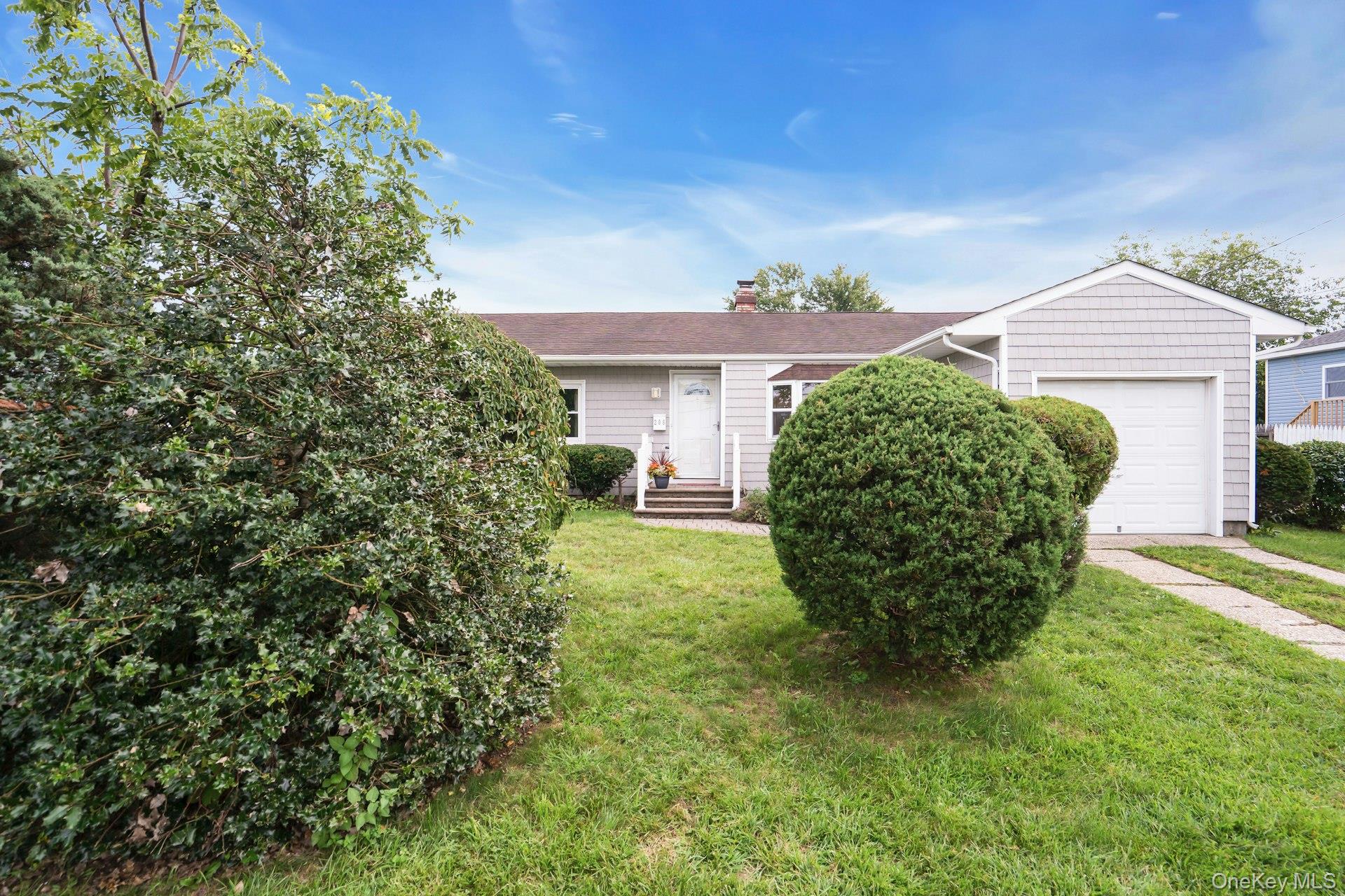 206 Alkier Street — photo 4