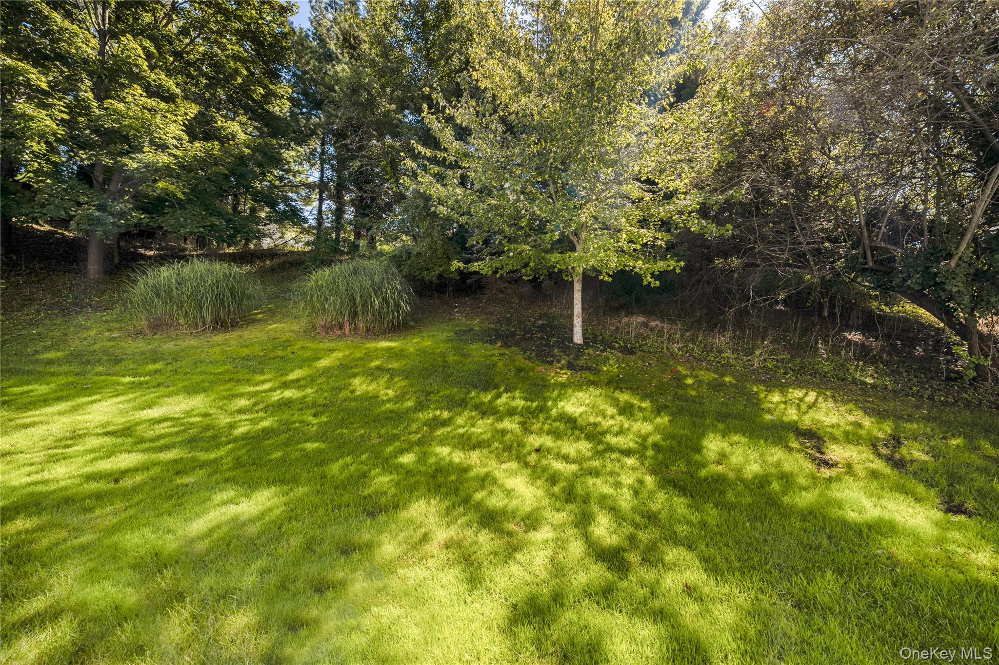 203 Windward Court — photo 24