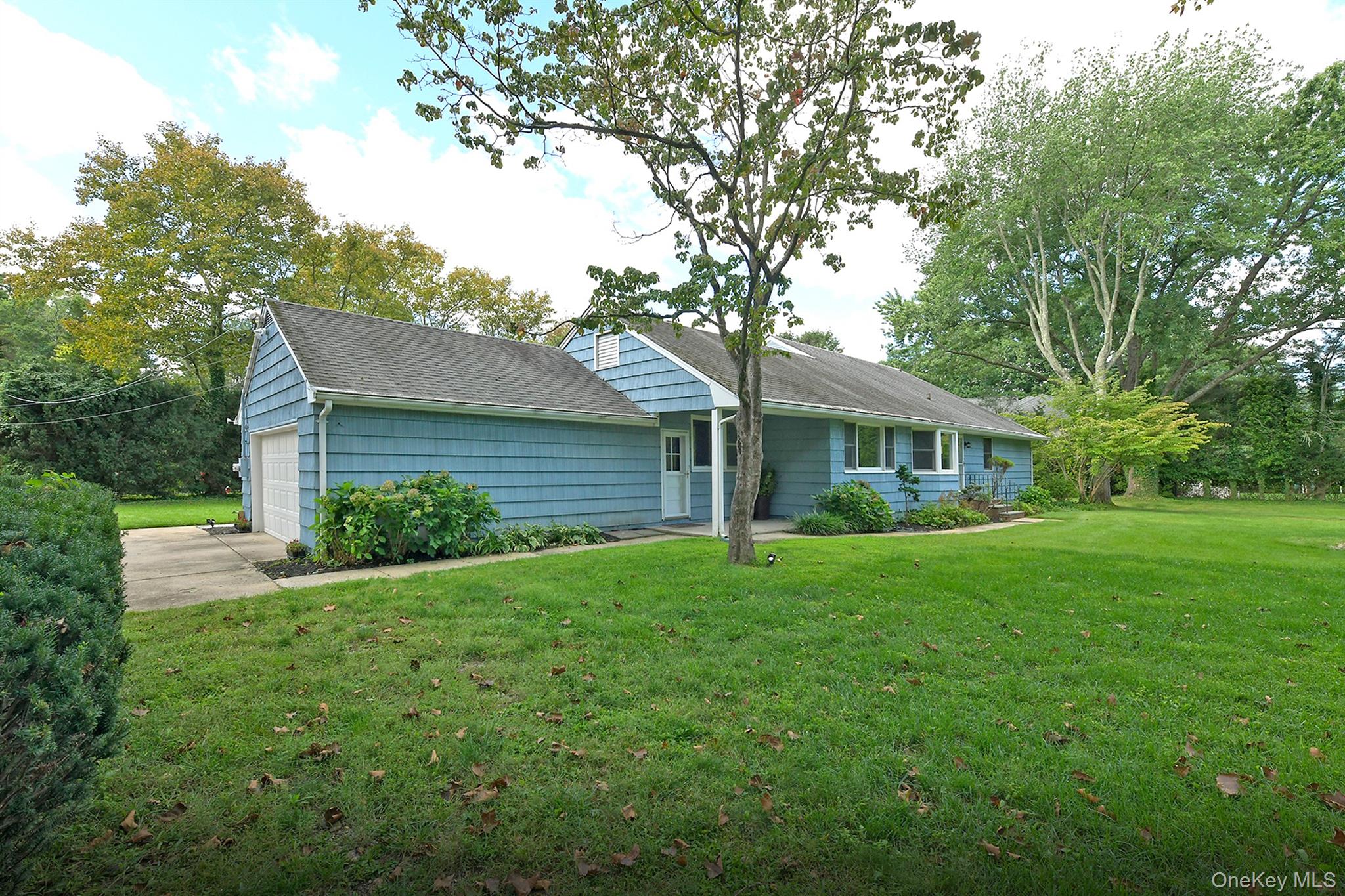 1950 Midlane — photo 29