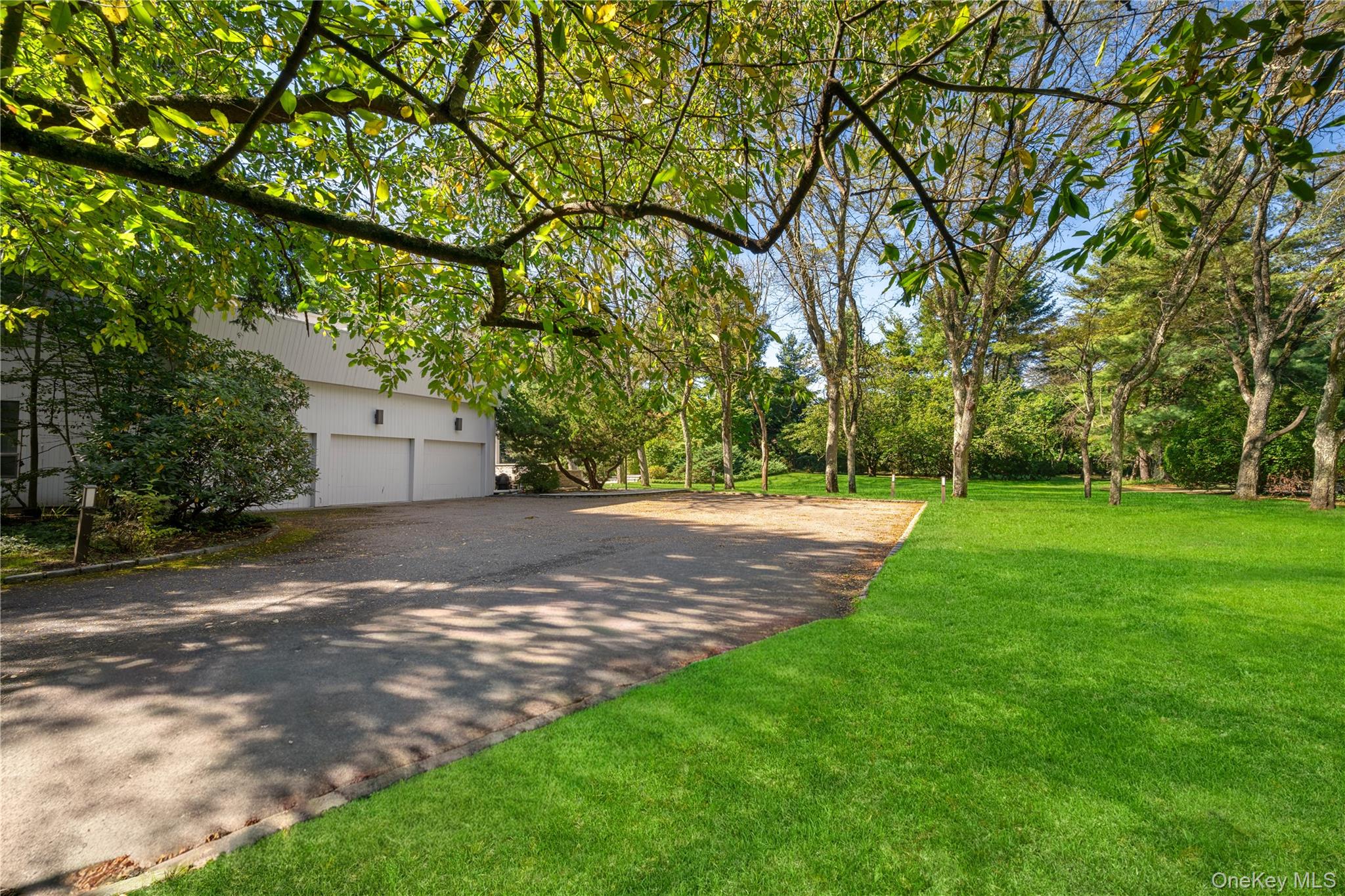 11 Surrey Lane — photo 3