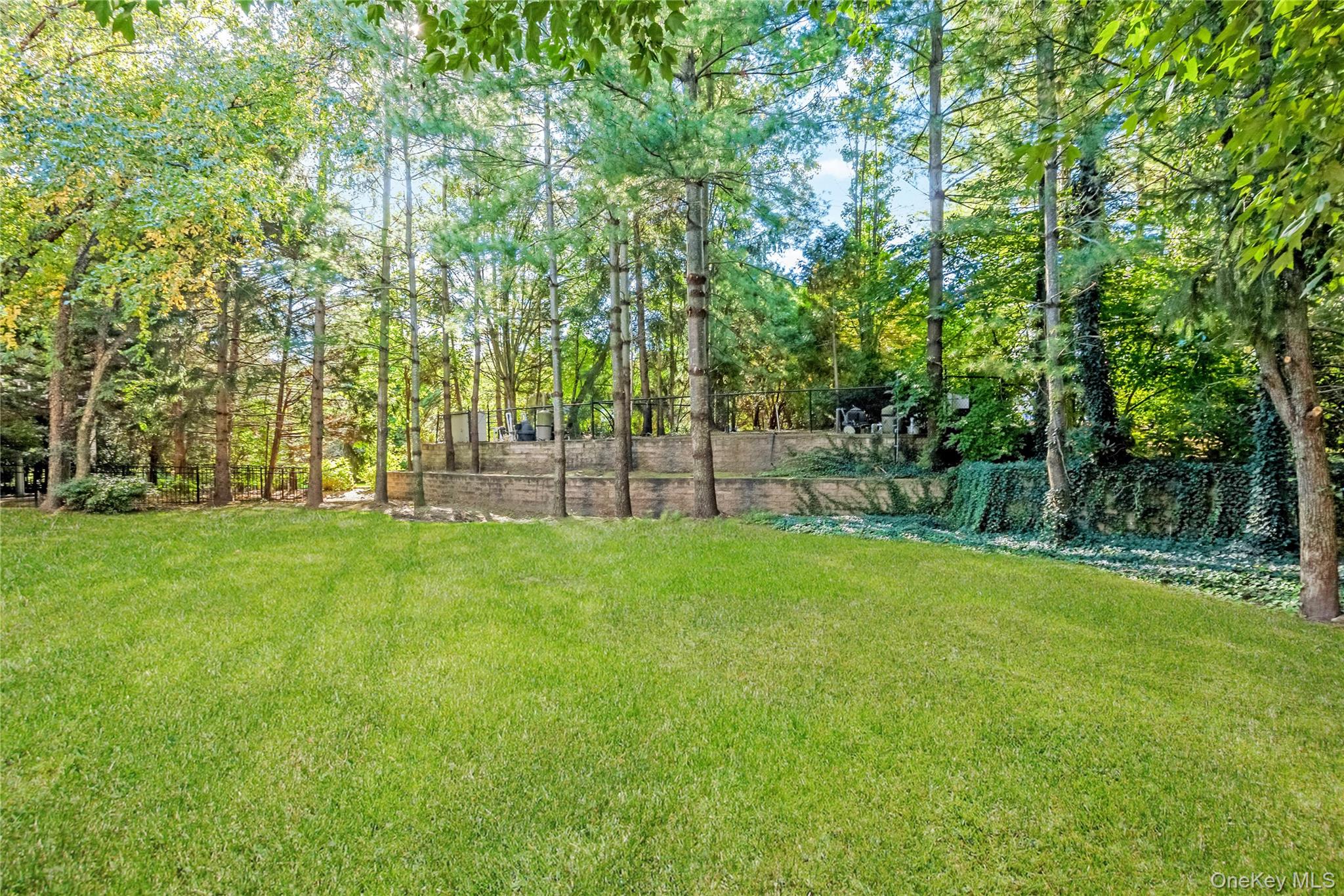 61 Charney Court — photo 44