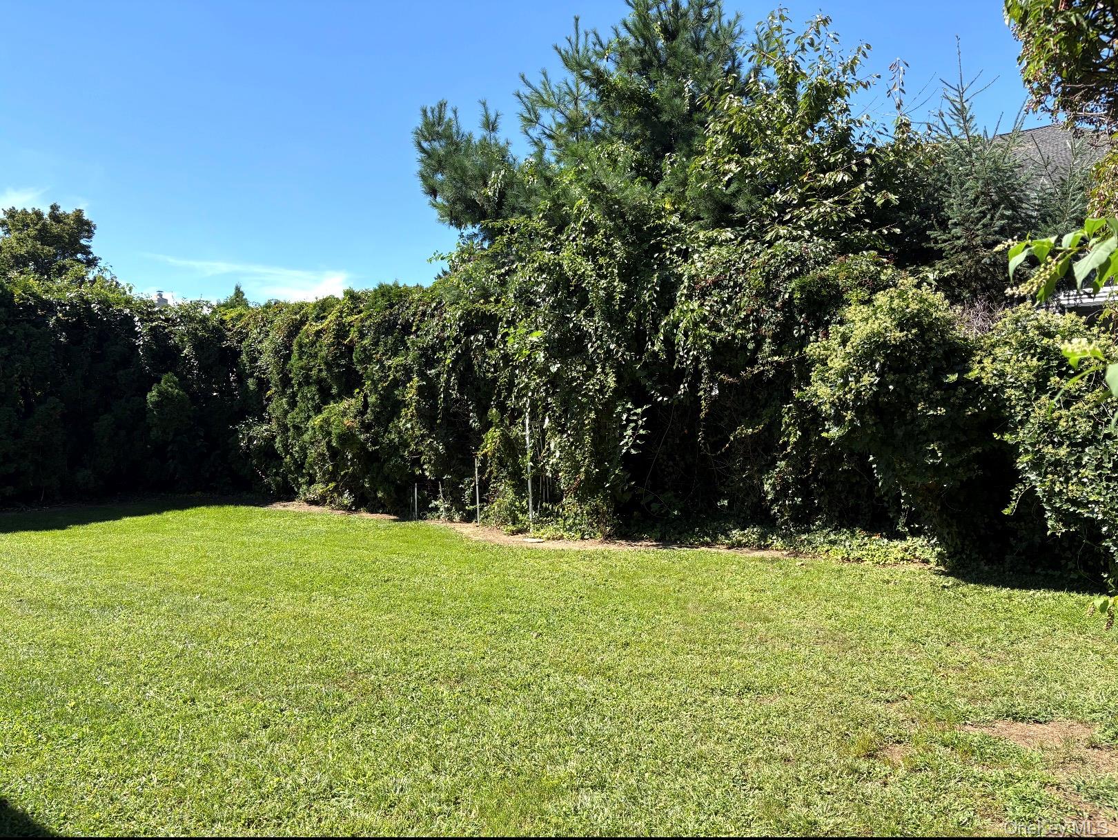 111 King Street — photo 12