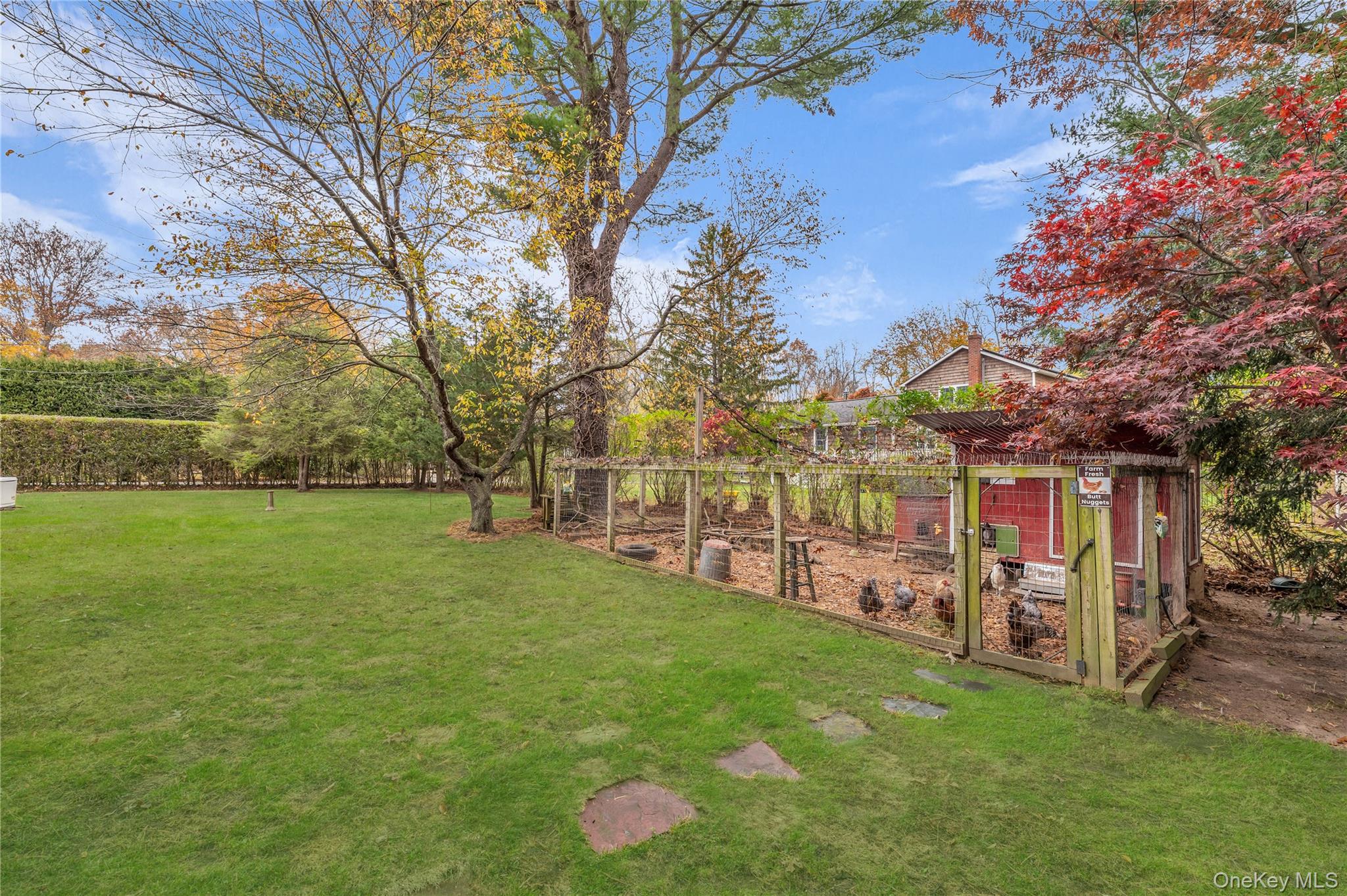 17 Hawkins Lane — photo 39
