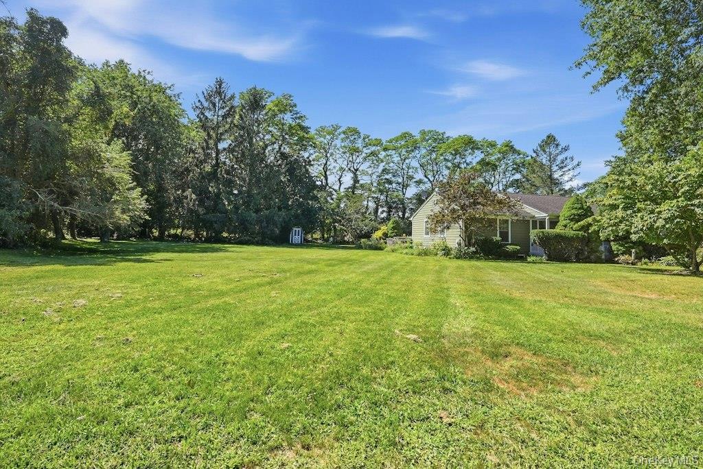 985 Silver Colt Road — photo 29