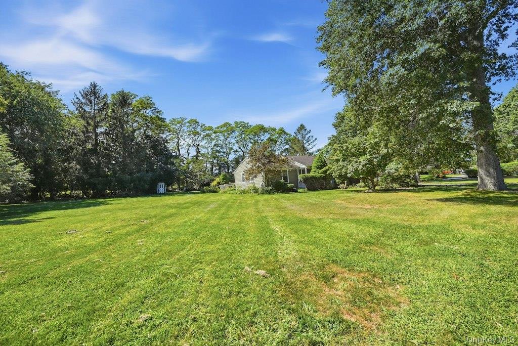 985 Silver Colt Road — photo 30