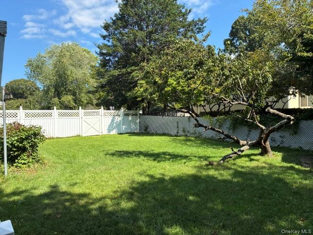 4 Carston Street — photo 28