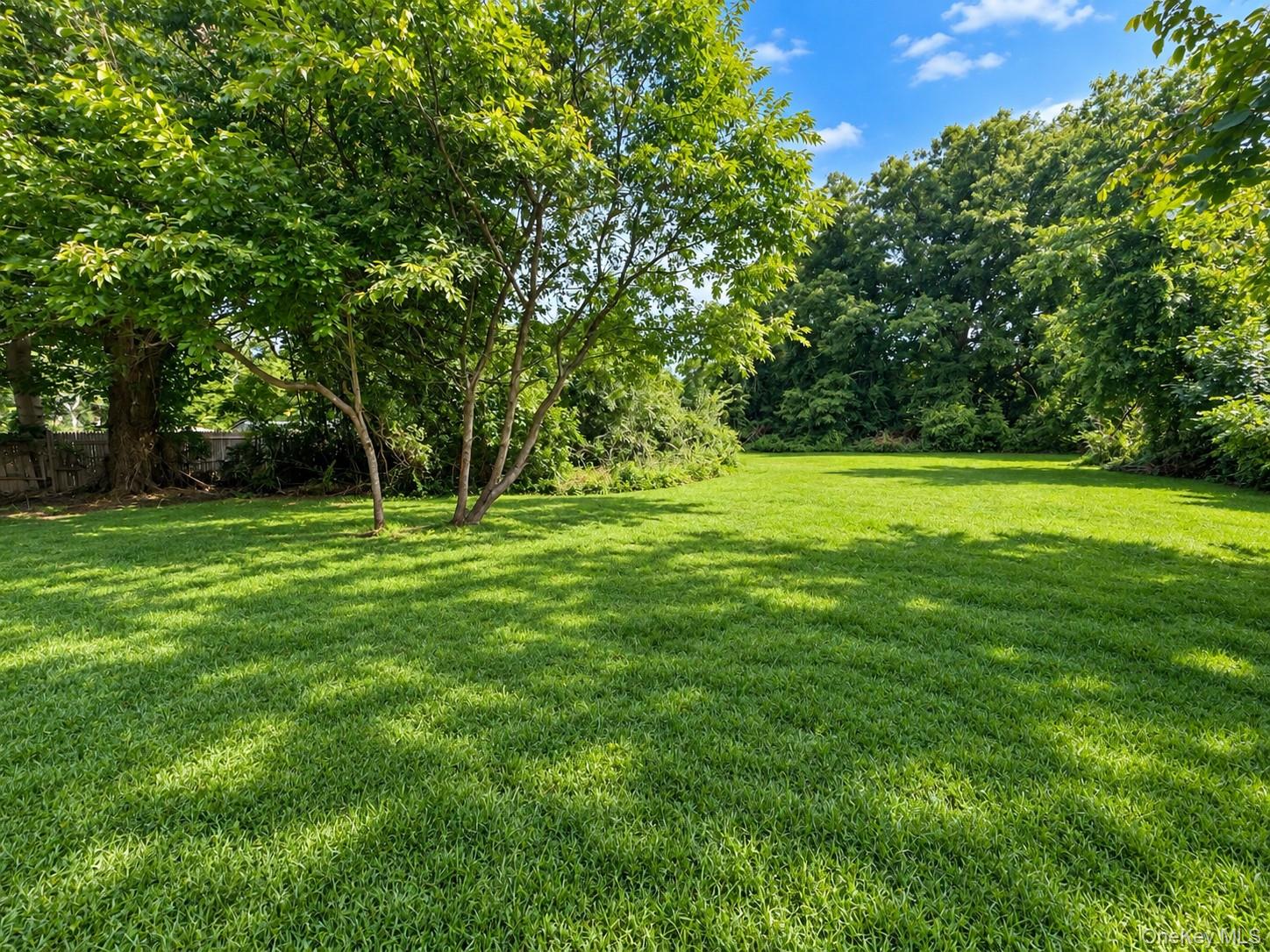 444 Avondale Drive — photo 19