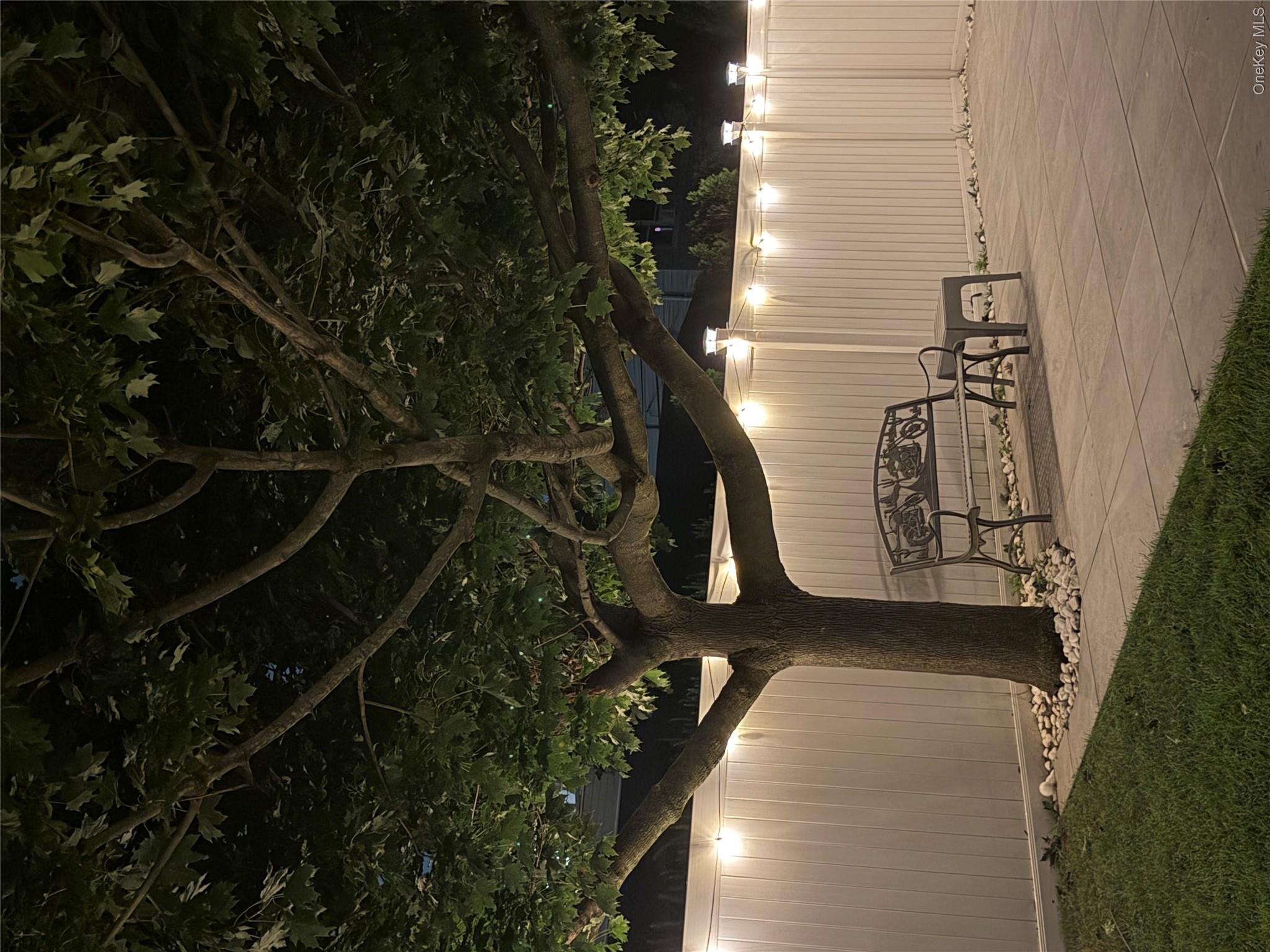 79 Albatross Road — photo 28