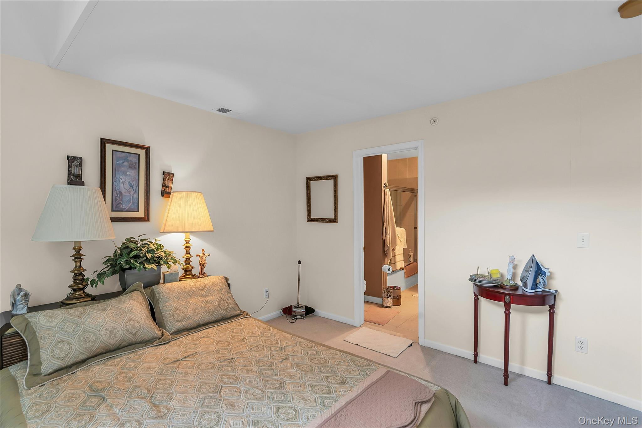 176 Merrick Road #10 — photo 23