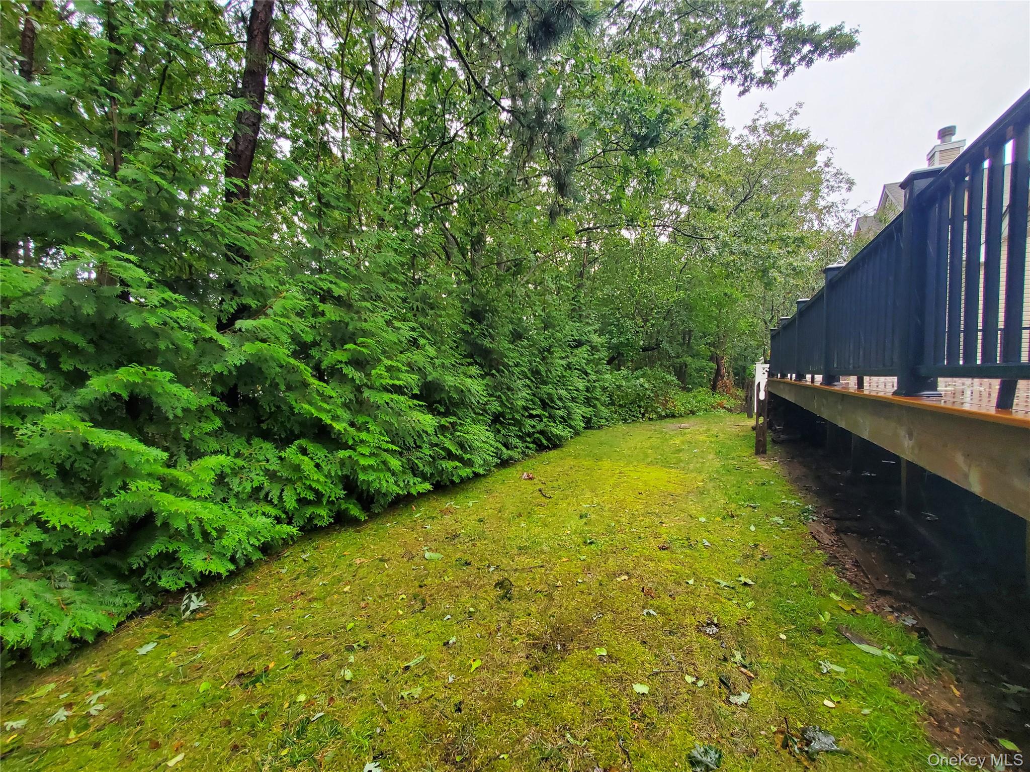 41 Sunflower Ridge Road — photo 37