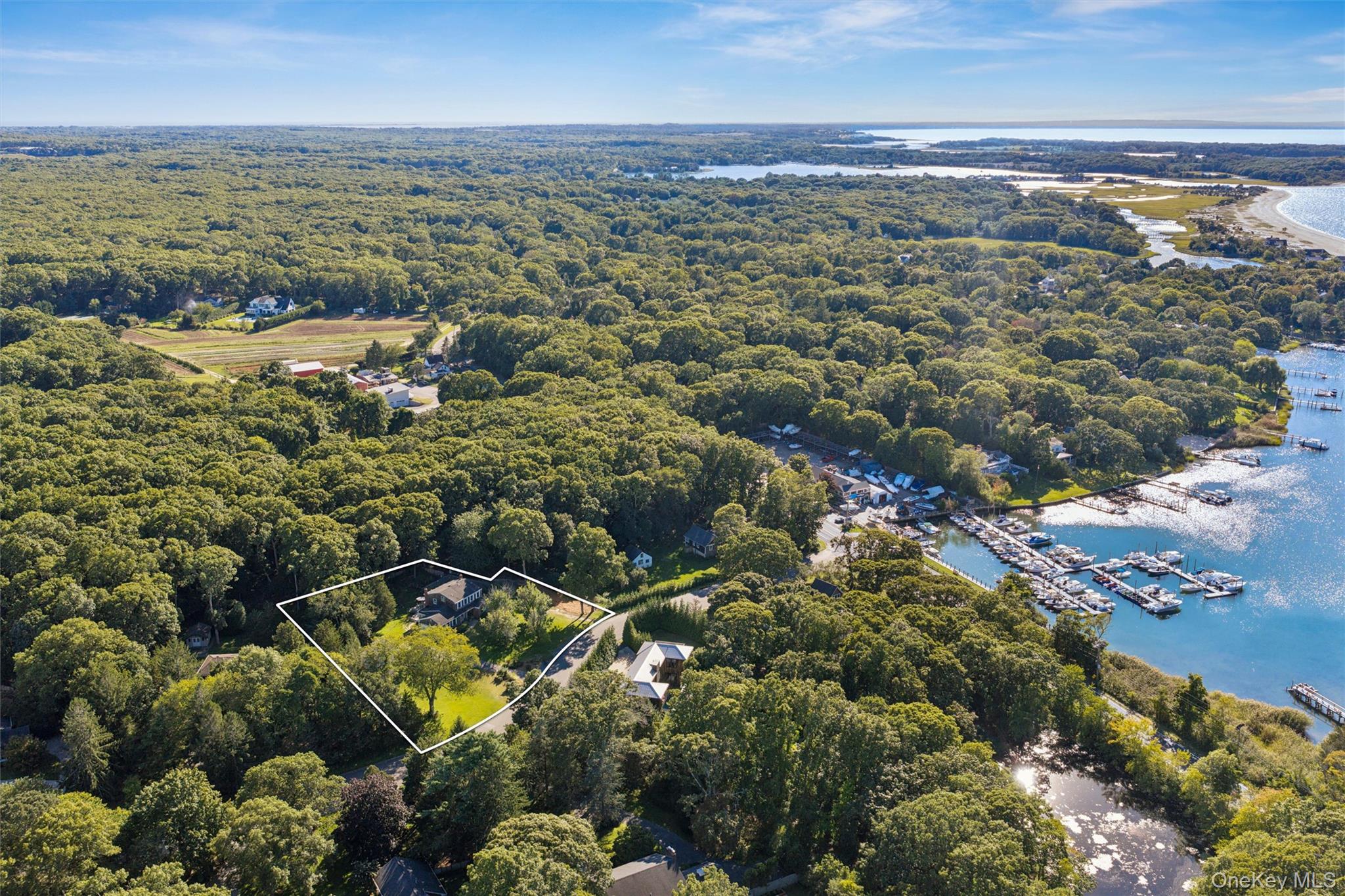 6 Turtle Pond Road