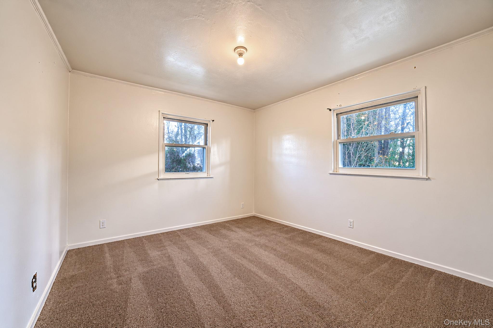 243 Coventry Road — photo 4
