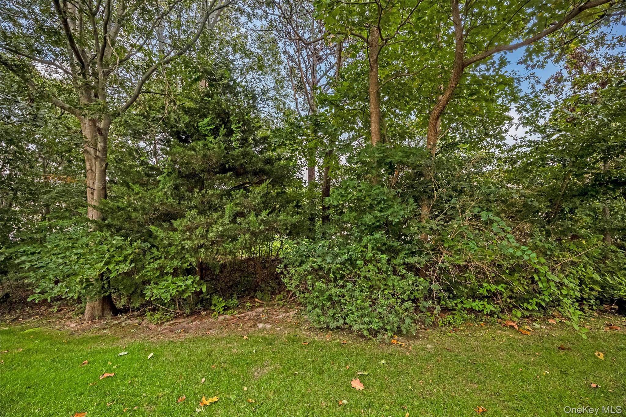 218 Kettles Lane — photo 34