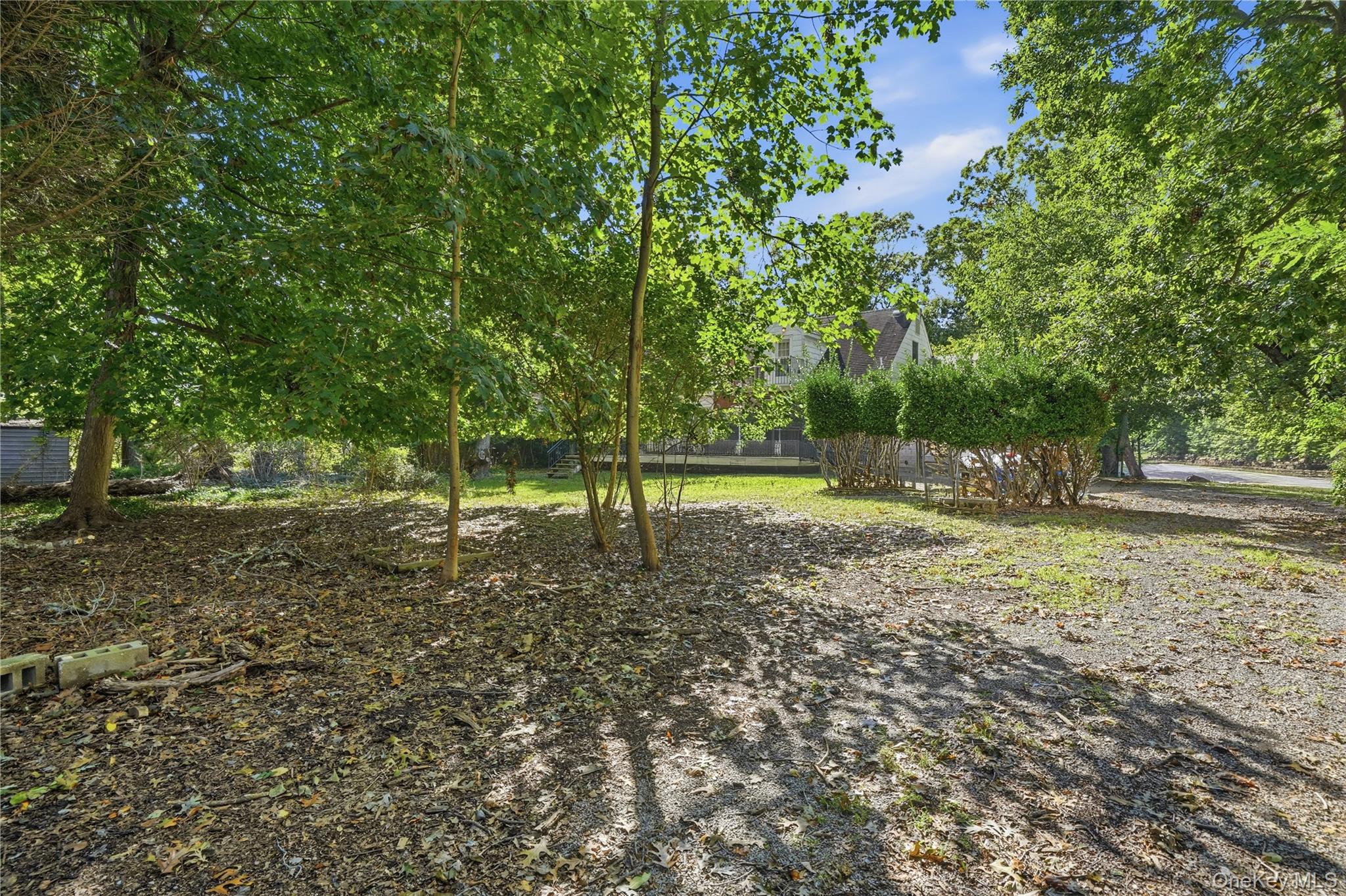 31 Woodland Drive — photo 28