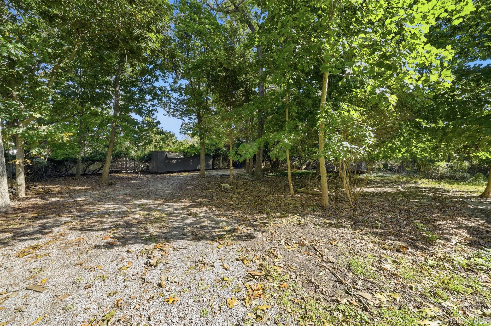 31 Woodland Drive — photo 29