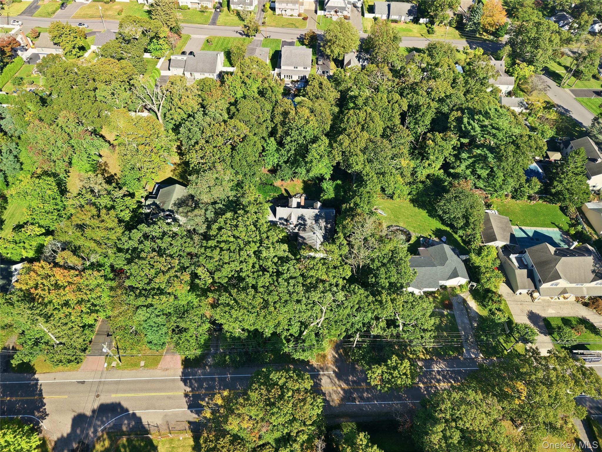 31 Woodland Drive — photo 32