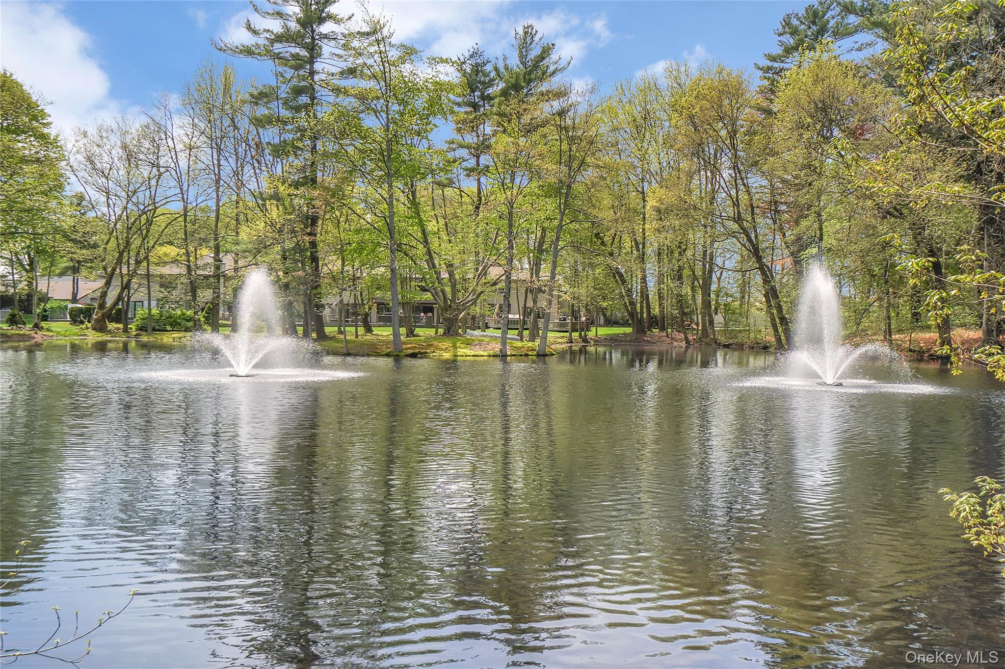 10 Pond View Court — photo 38