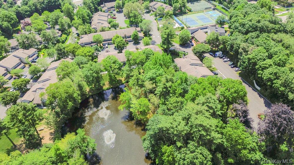 10 Pond View Court — photo 44