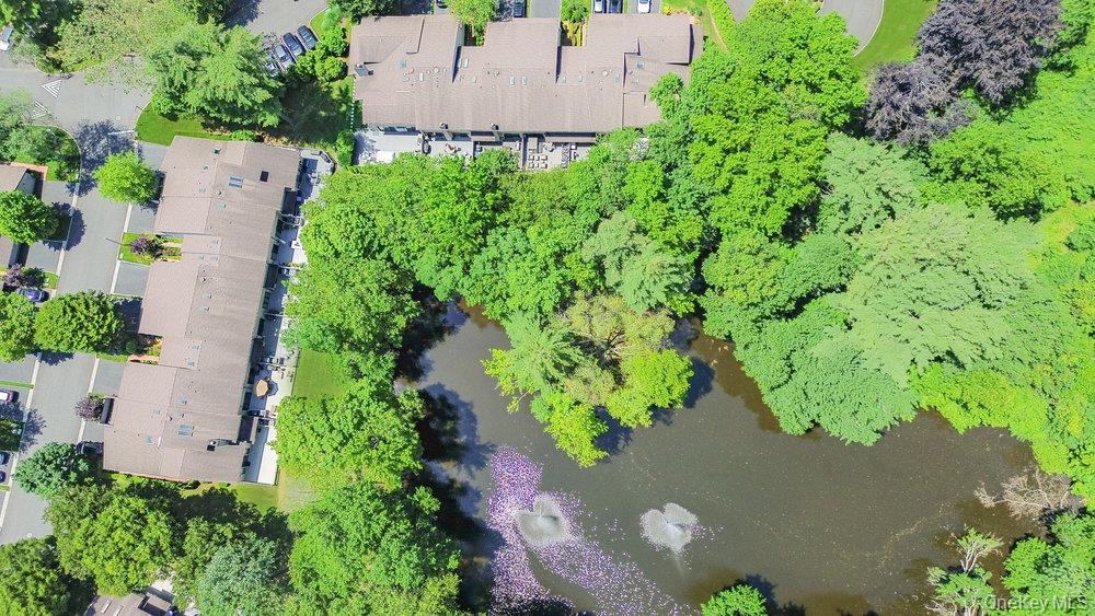 10 Pond View Court — photo 46