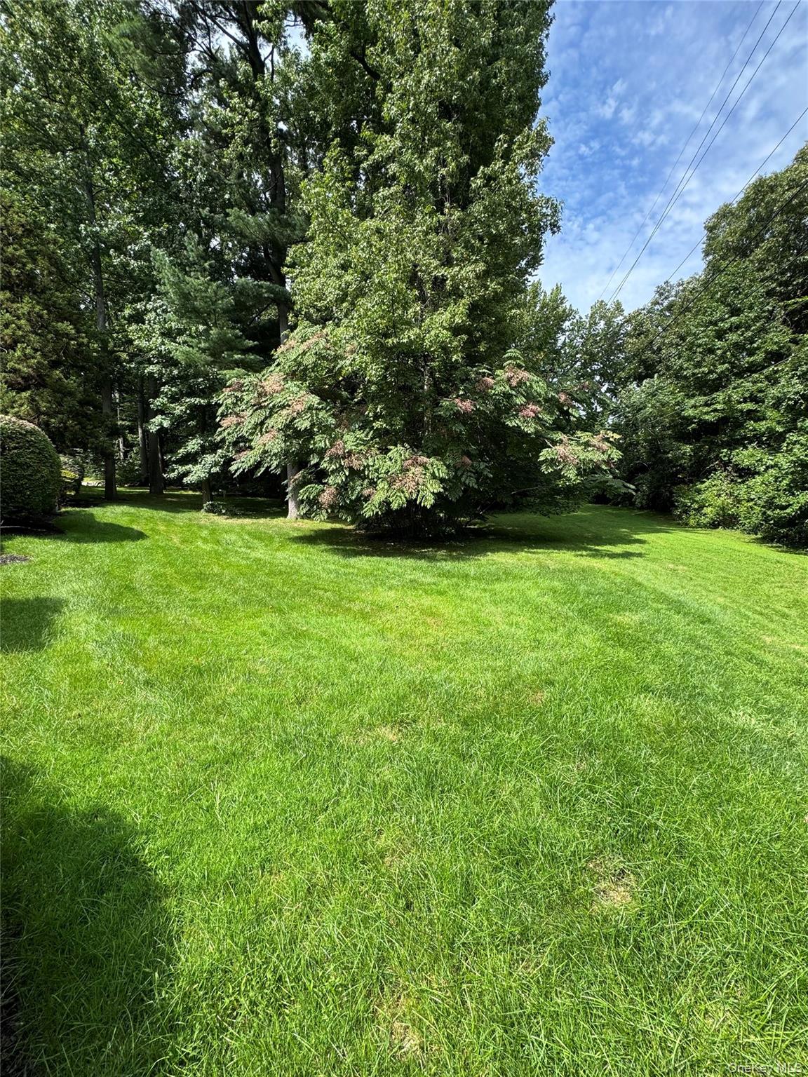 20 Tiffany Circle #20 — photo 3
