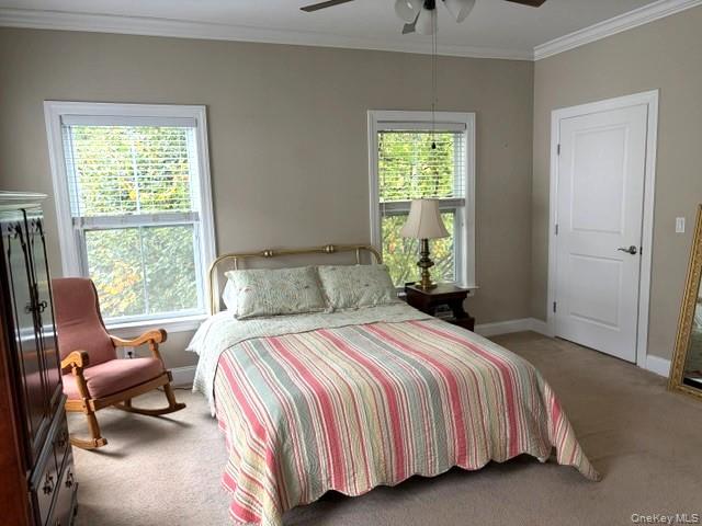 36 Providence Drive — photo 22