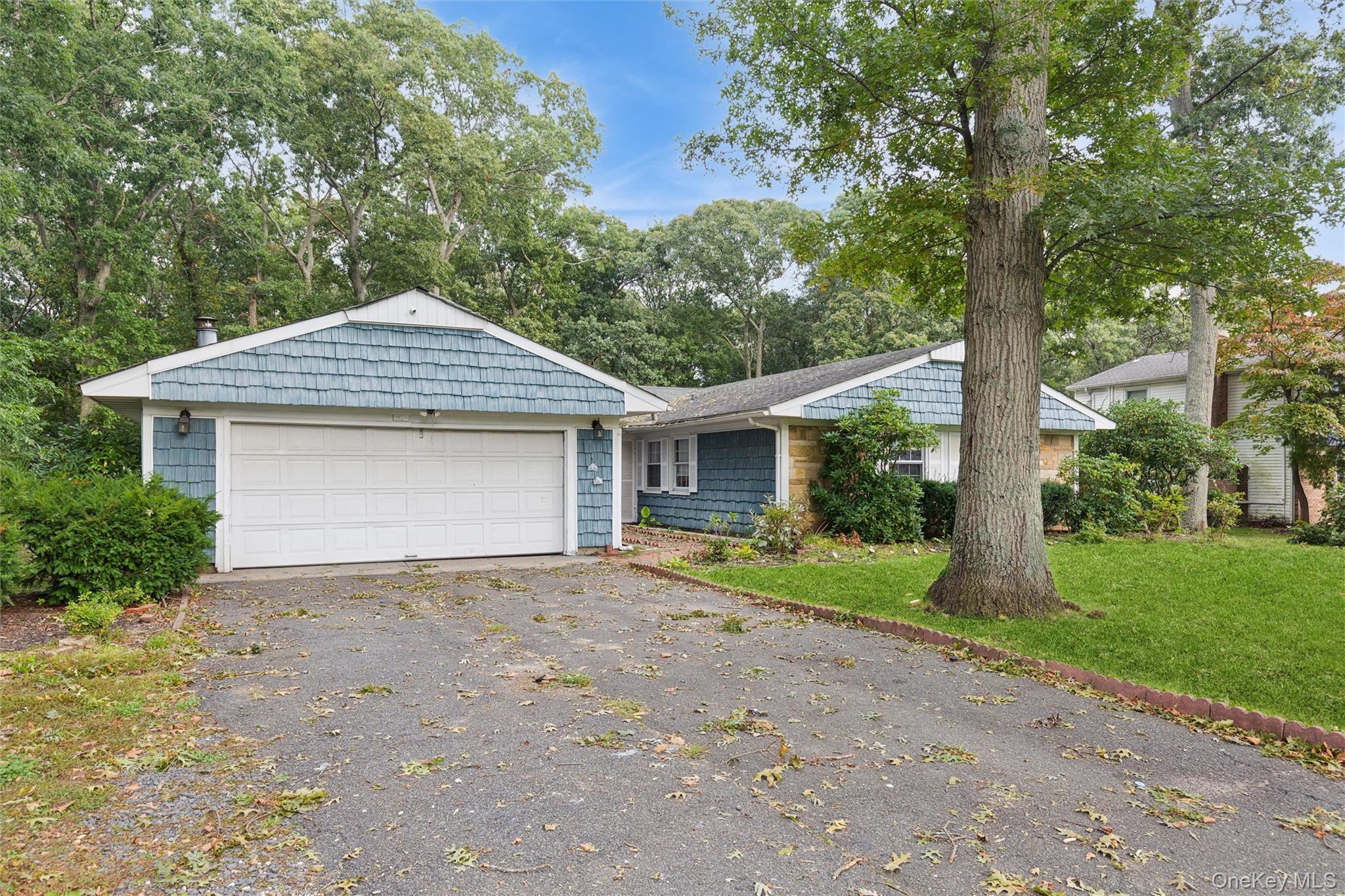 19 Wintergreen Drive — photo 14