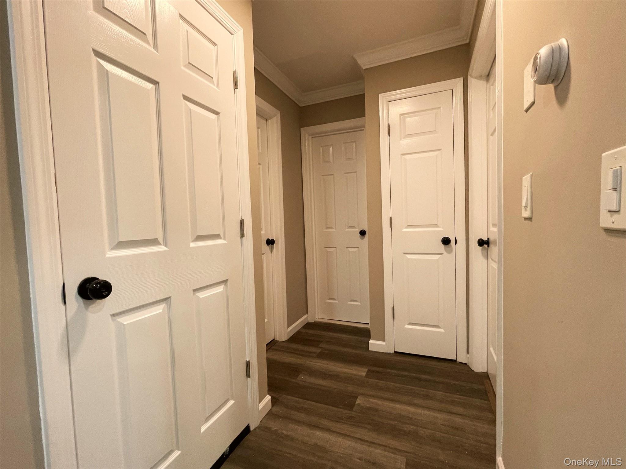45A Brushwood Drive — photo 14