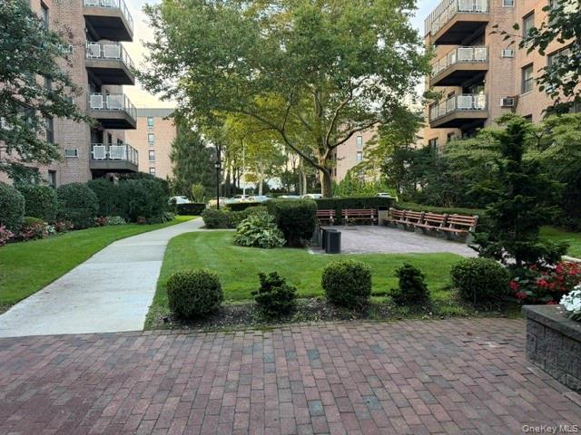 3 Birchwood Court #4M — photo 16