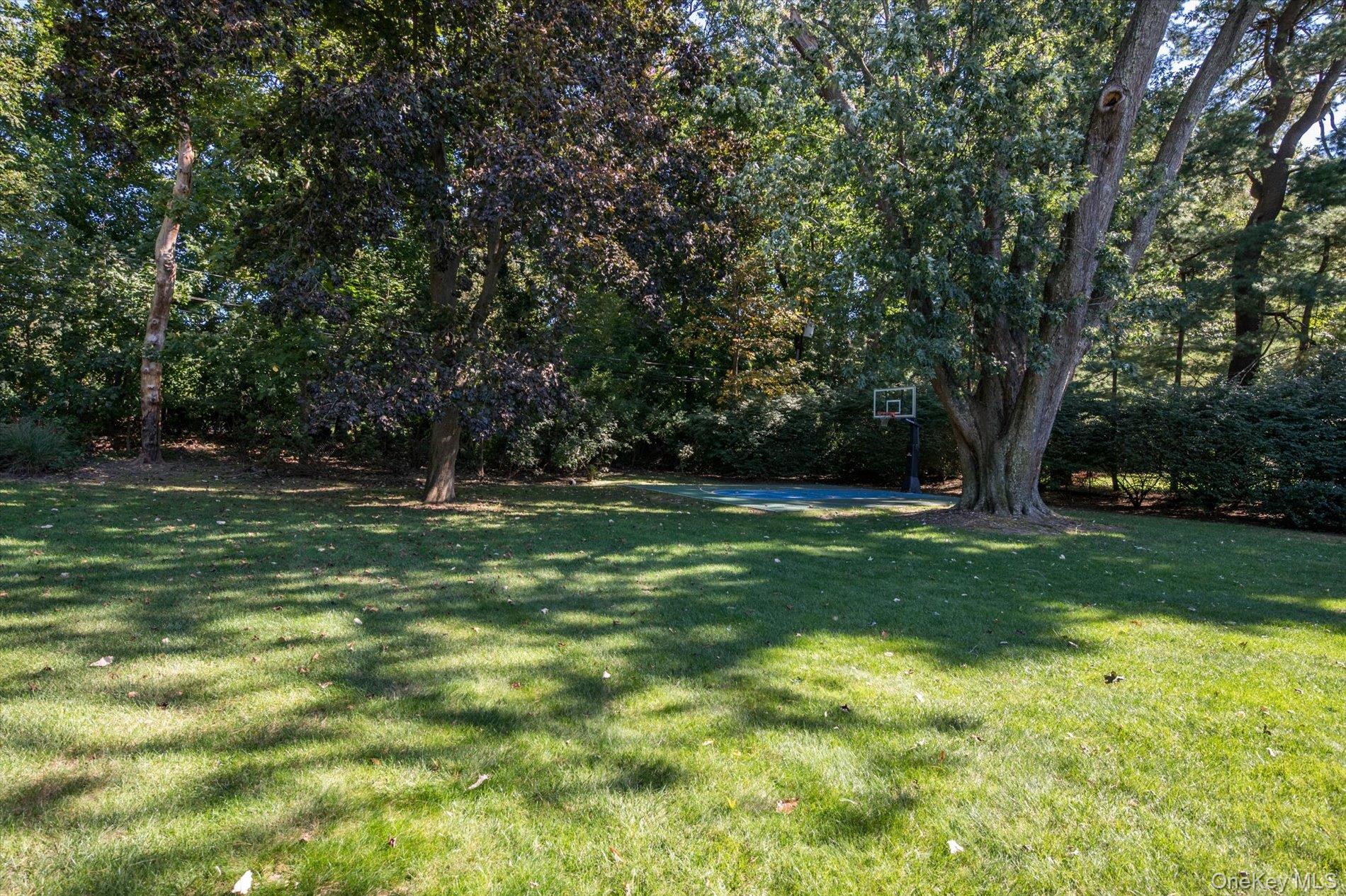 15 Haddington Drive — photo 33