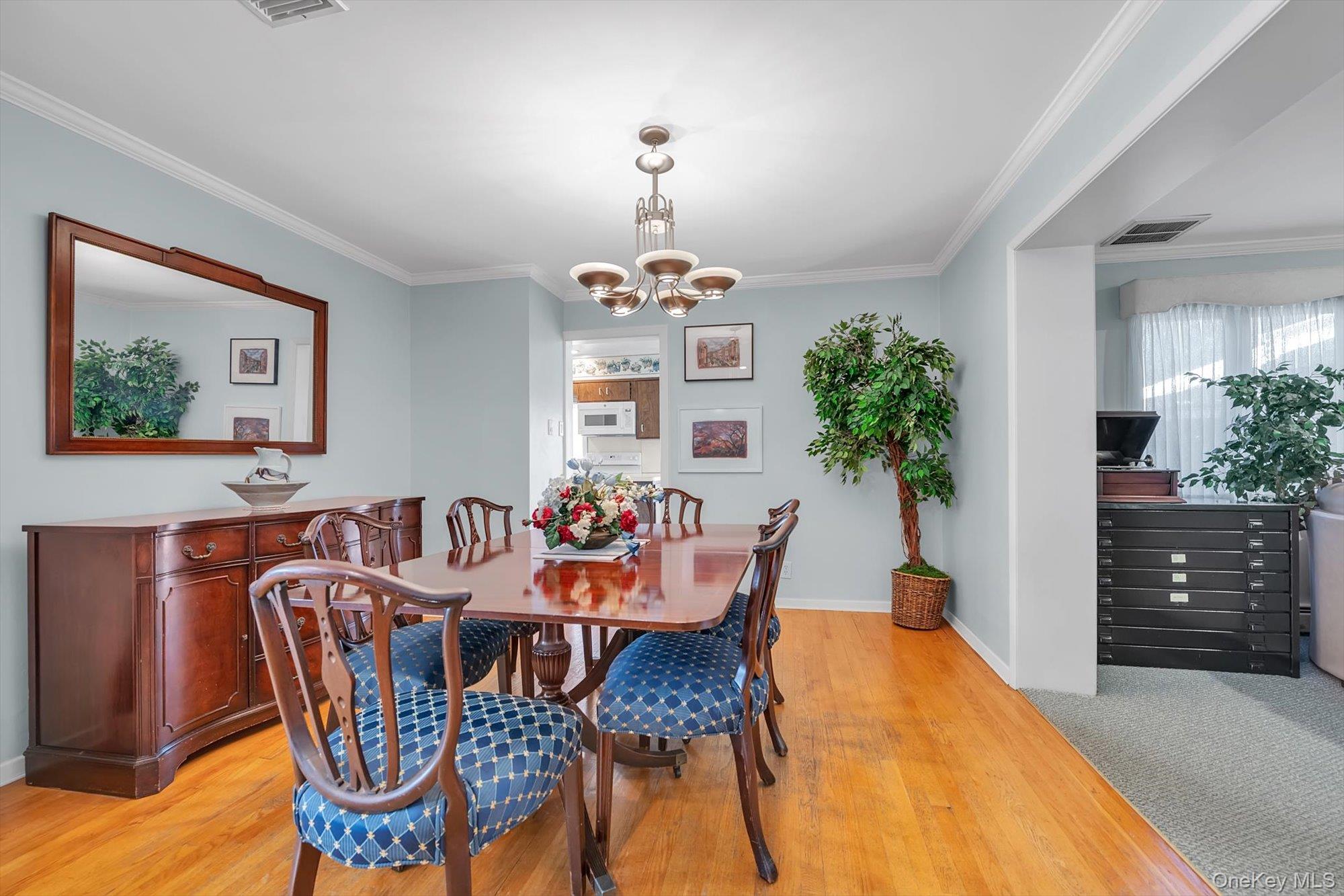 17 Joseph Street — photo 6