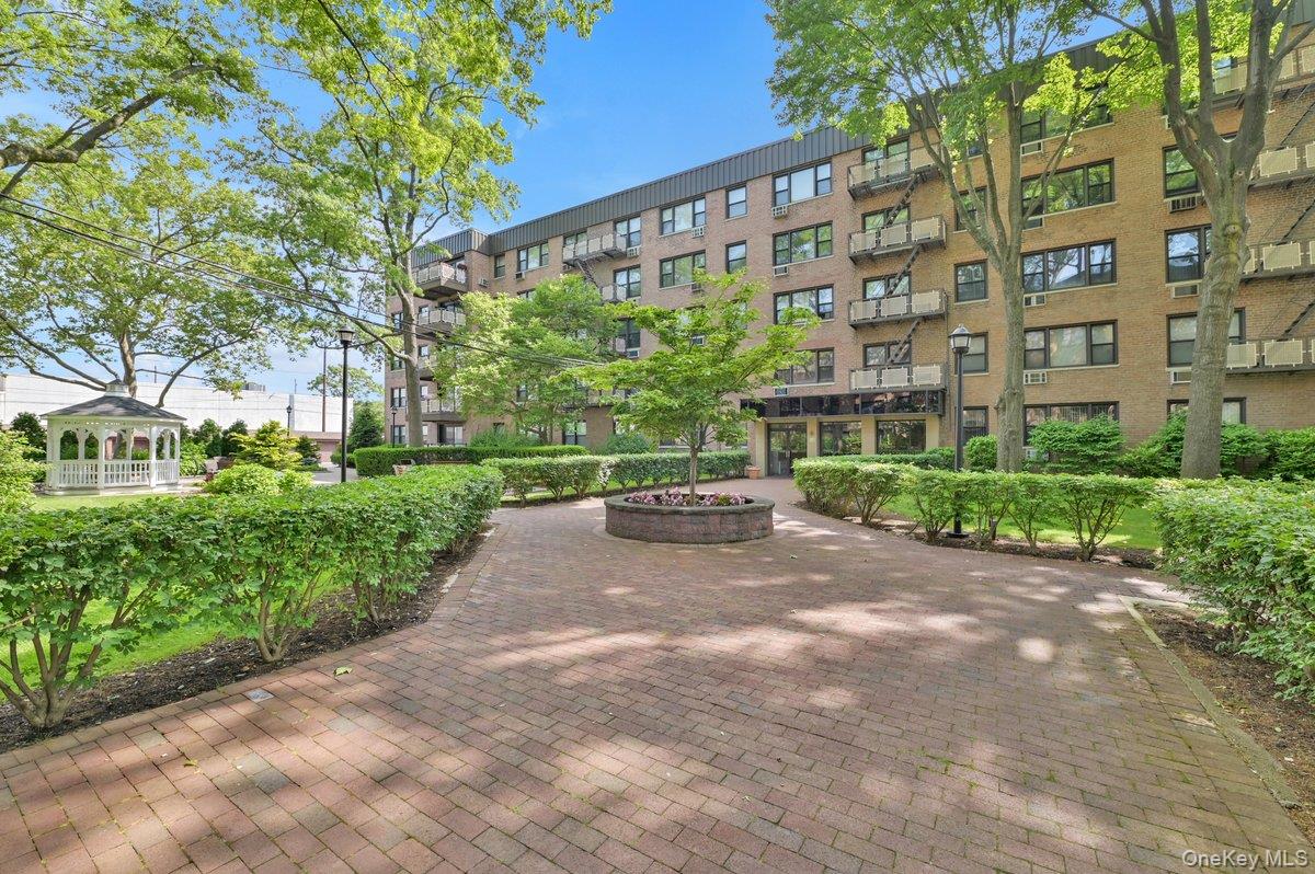 6 Birchwood Court #3F, Mineola