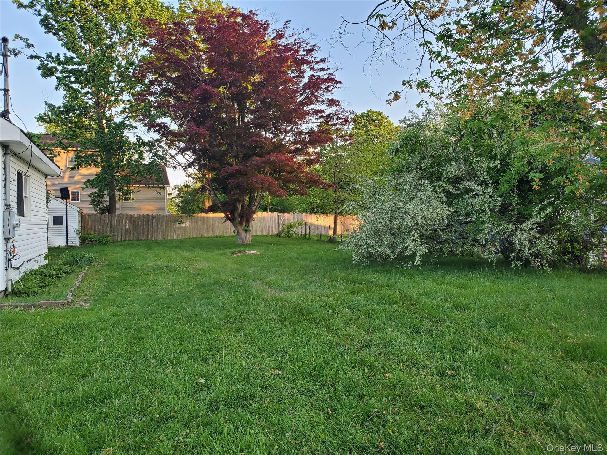 12 Narcissus Road — photo 10