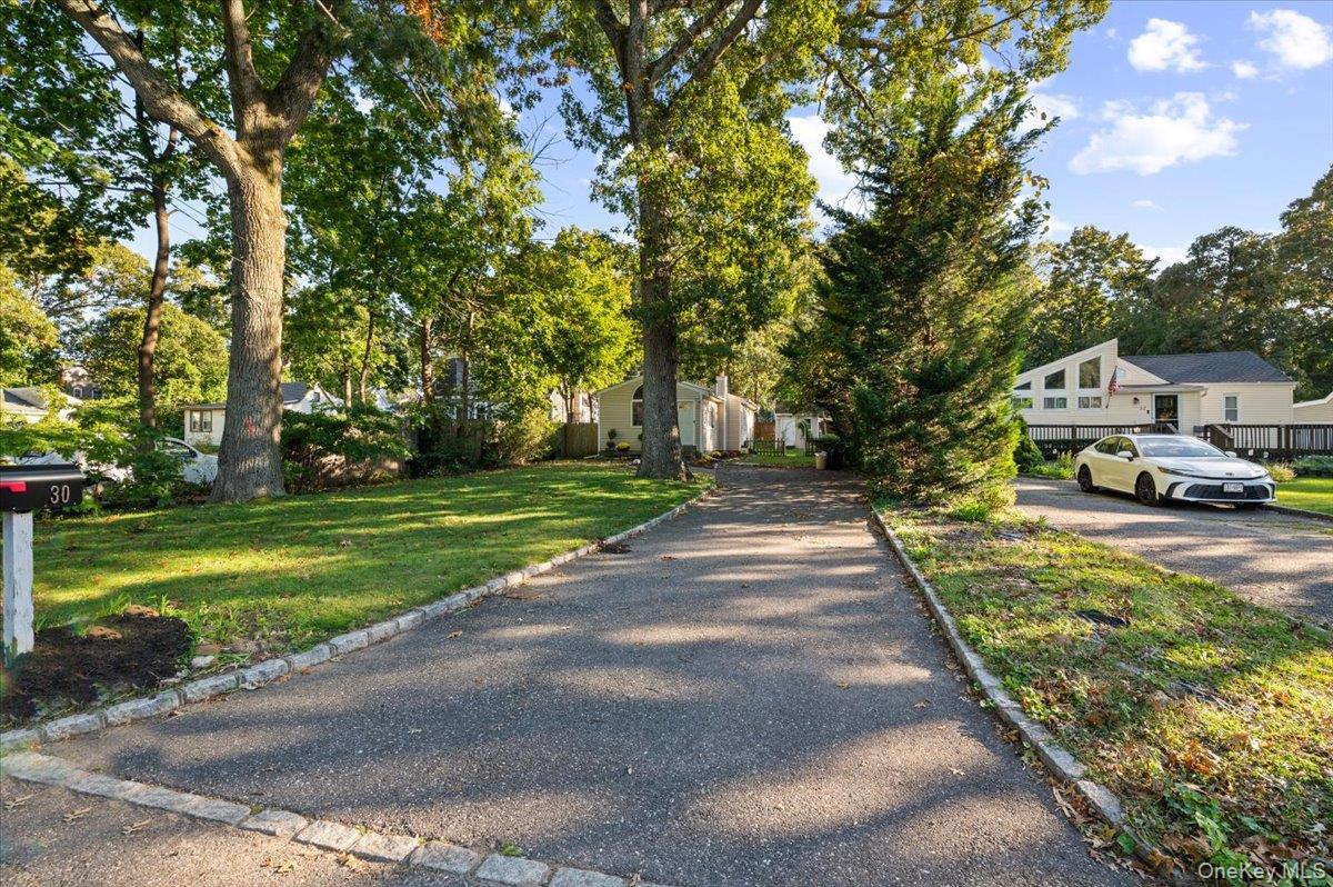 30 Ormond Avenue — photo 18