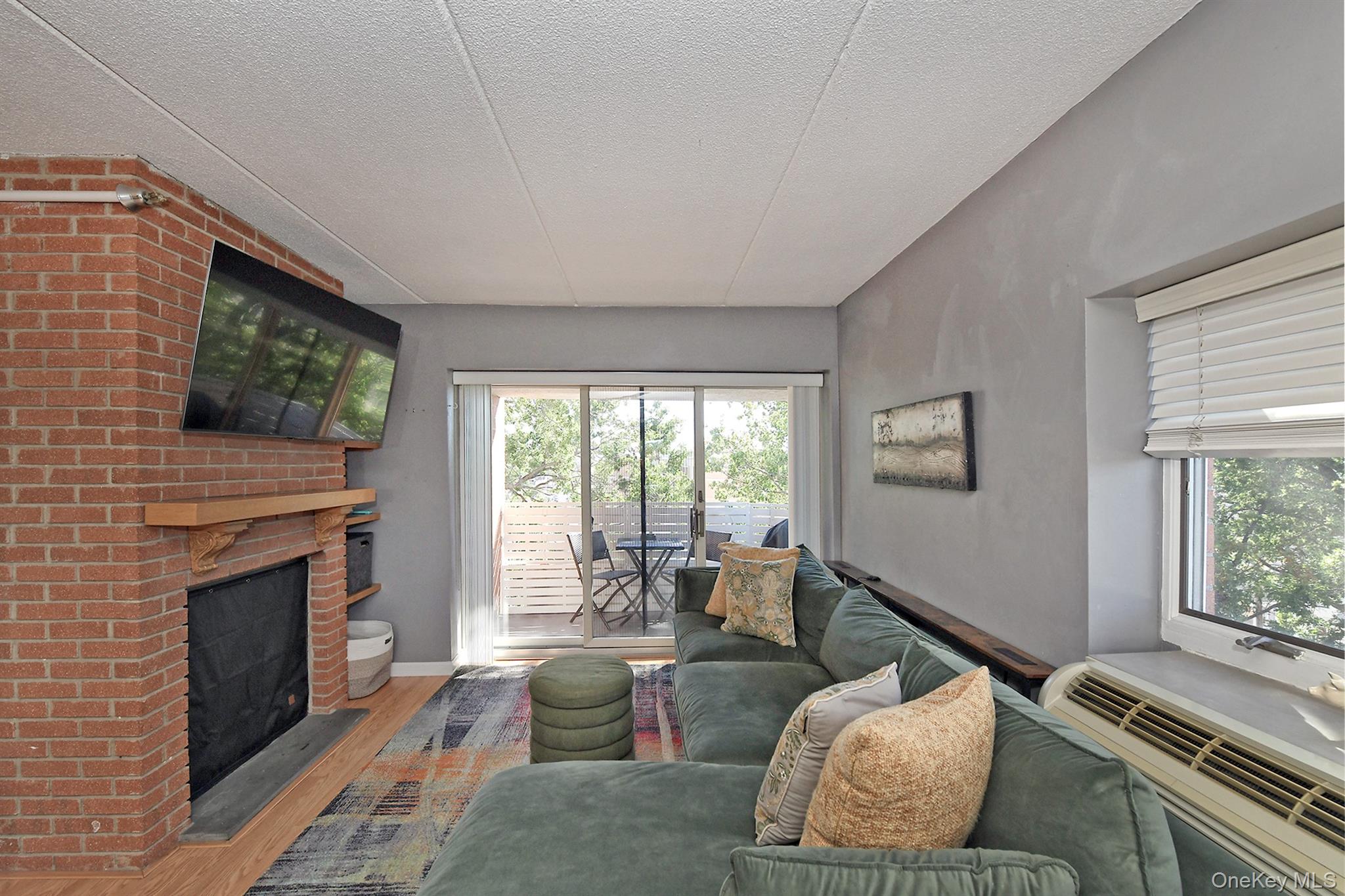 205 Mineola Boulevard #5I — photo 14