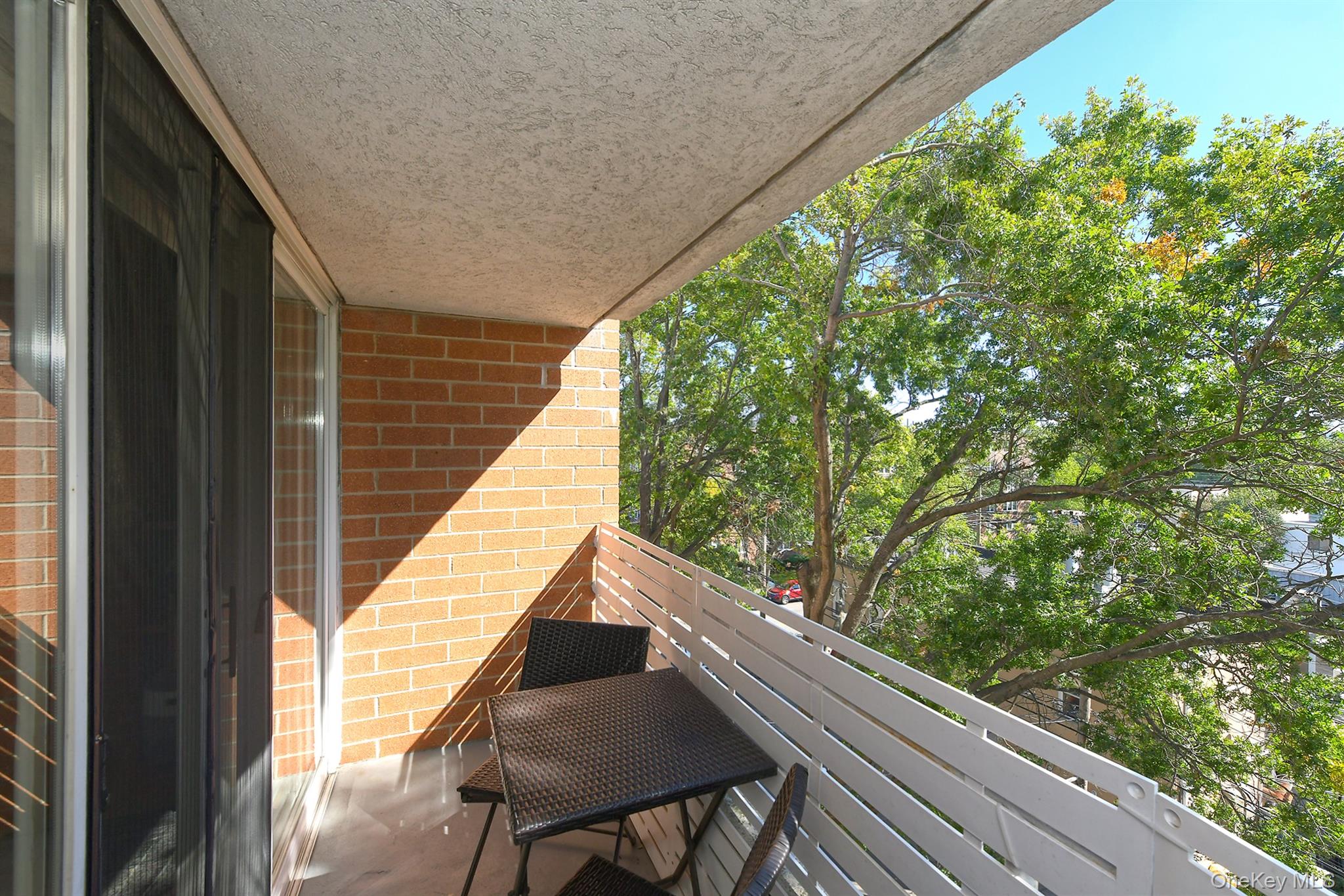 205 Mineola Boulevard #5I — photo 15