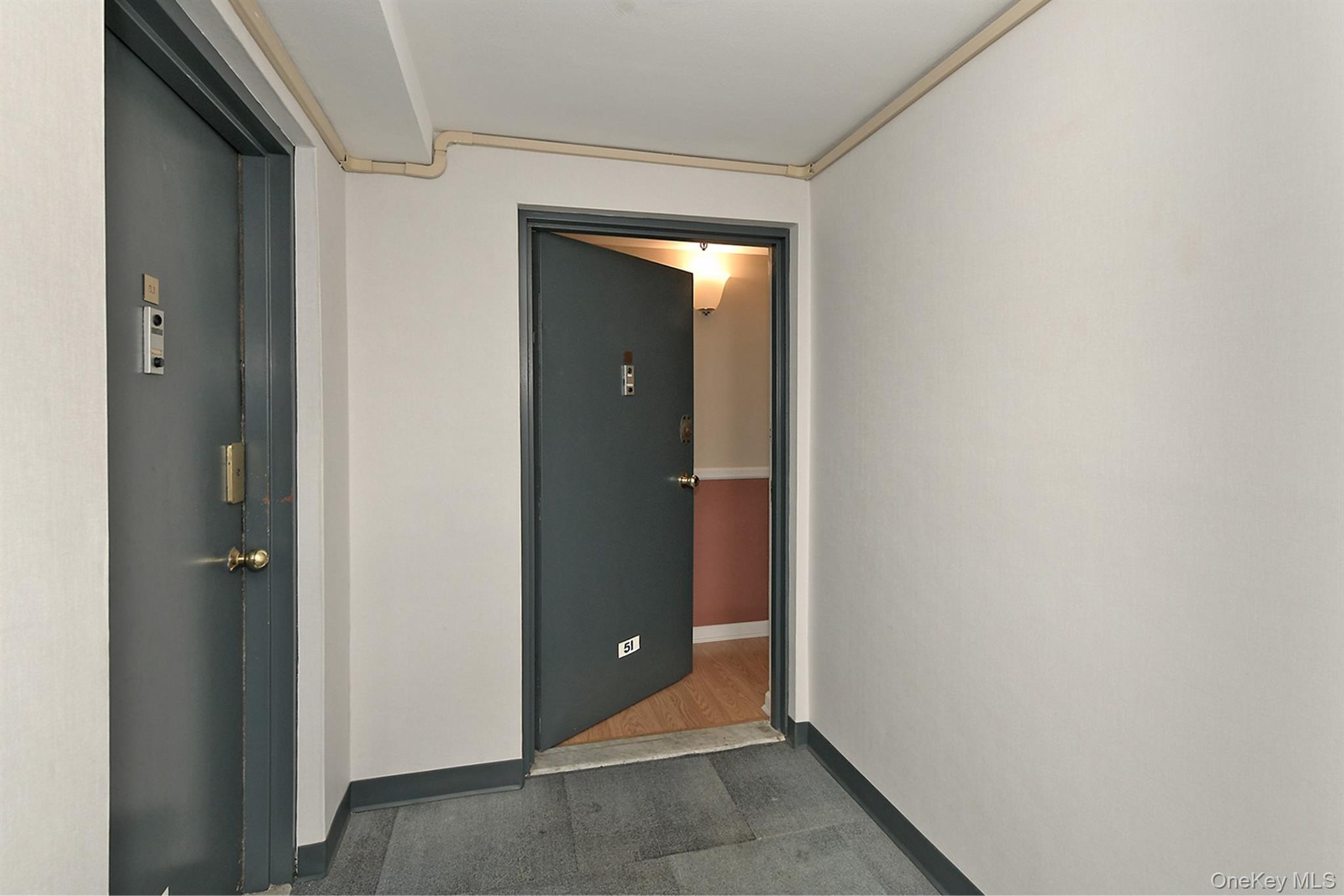 205 Mineola Boulevard #5I — photo 8