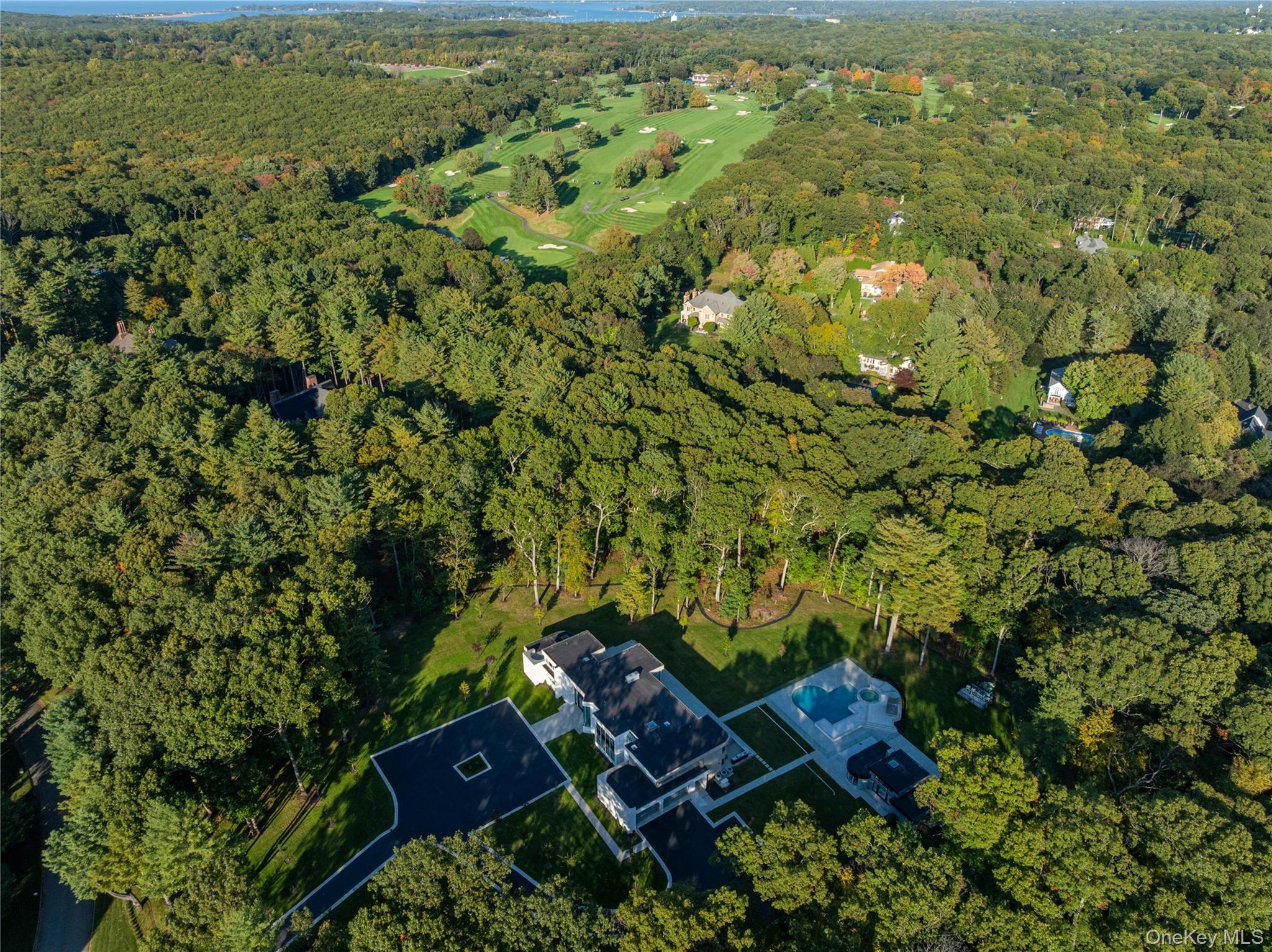 31 Chestnut Hill Drive — photo 49