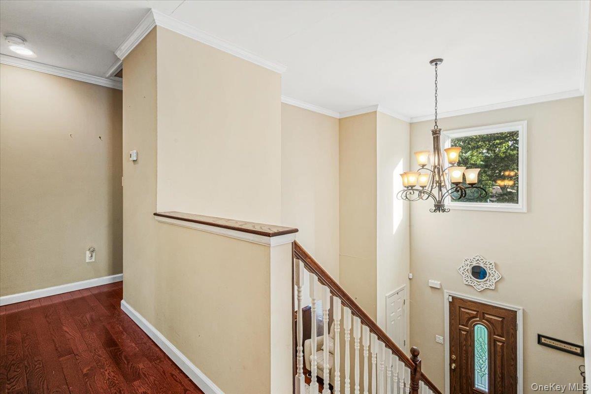 61 Delamere Street — photo 14