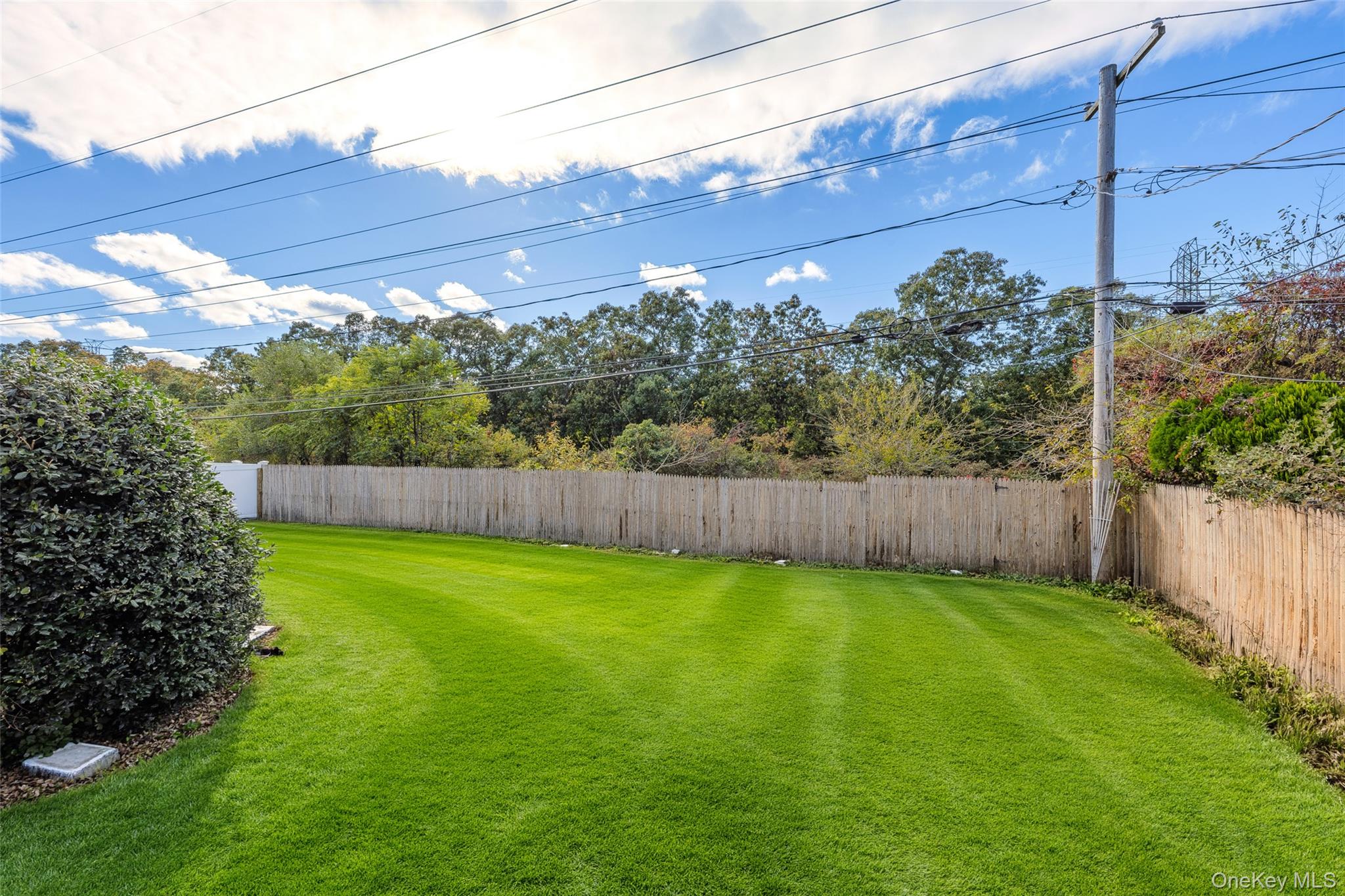 163 Avondale Drive — photo 38