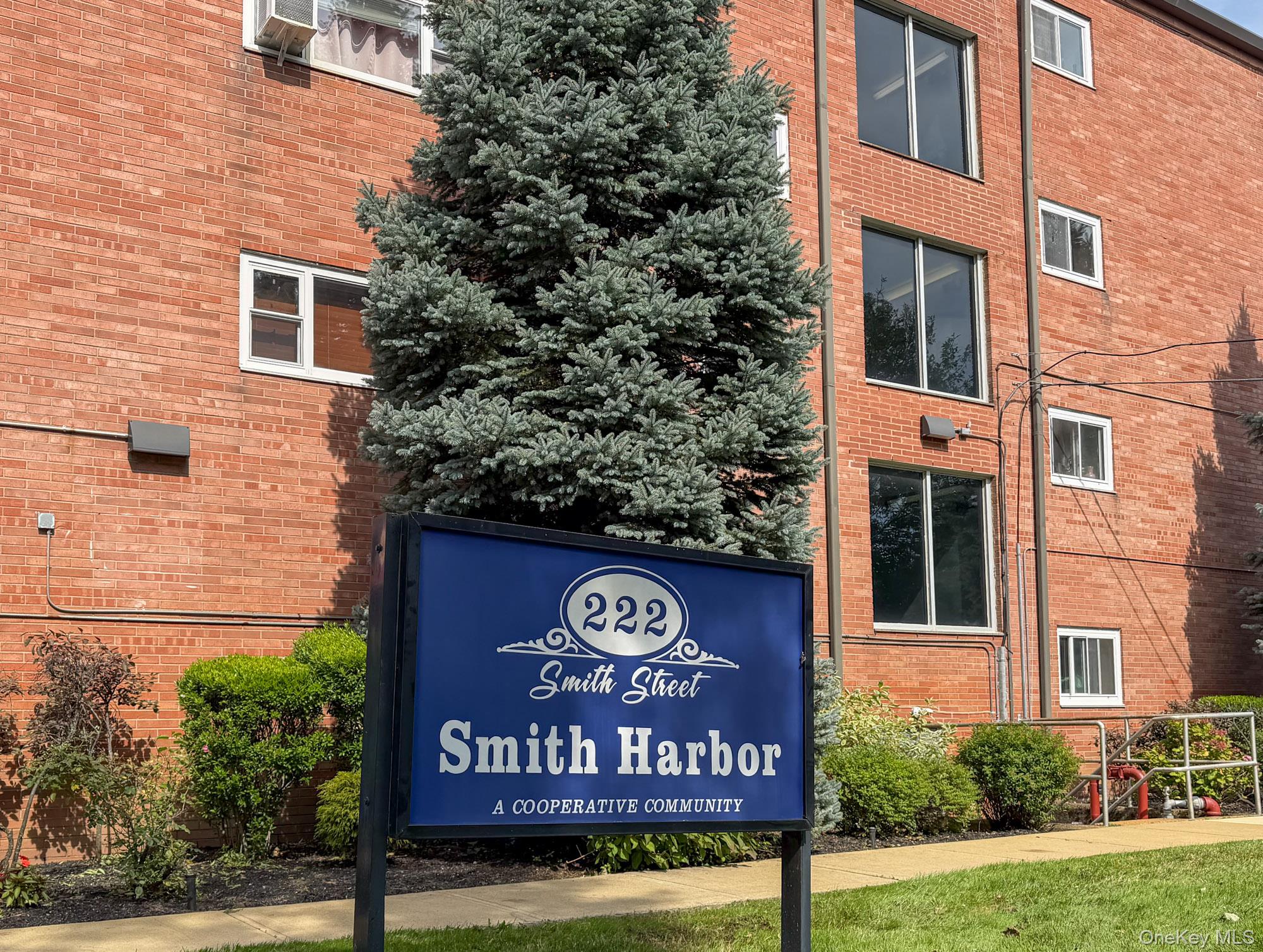 222 Smith #3B — photo 24