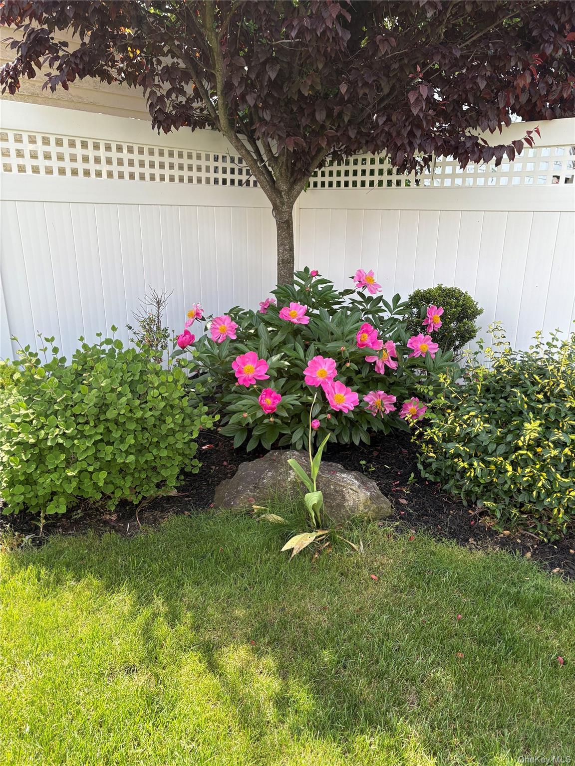 48 Teneyck Avenue — photo 30