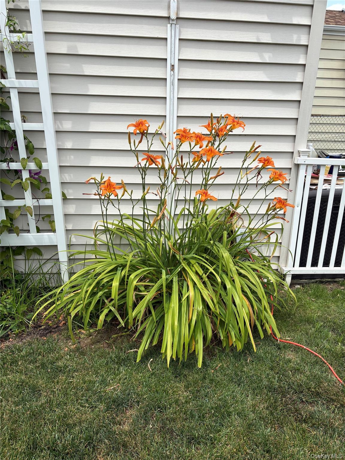 48 Teneyck Avenue — photo 31
