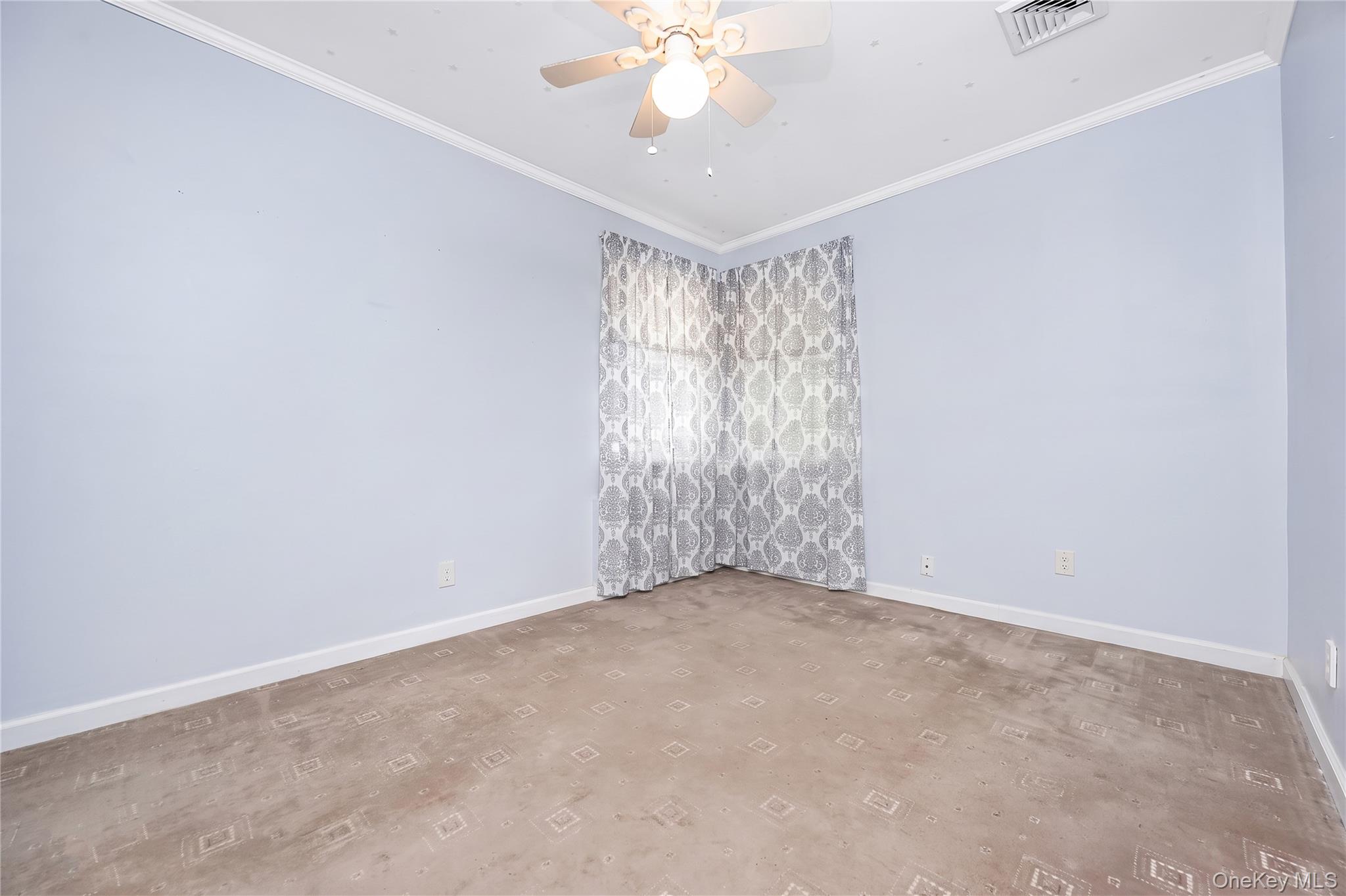 19 Leonard Road — photo 19
