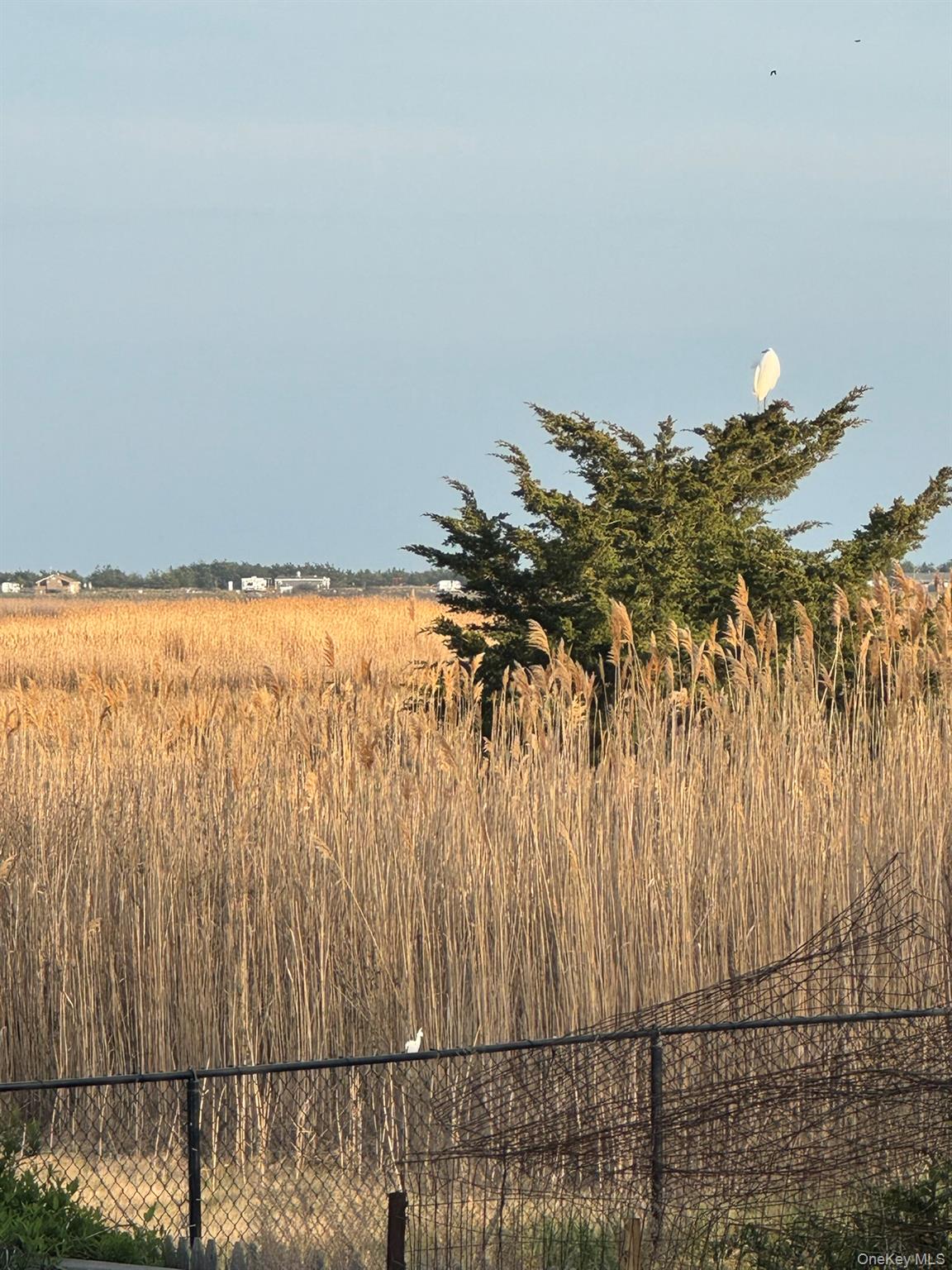 123 Johns Neck Road — photo 30