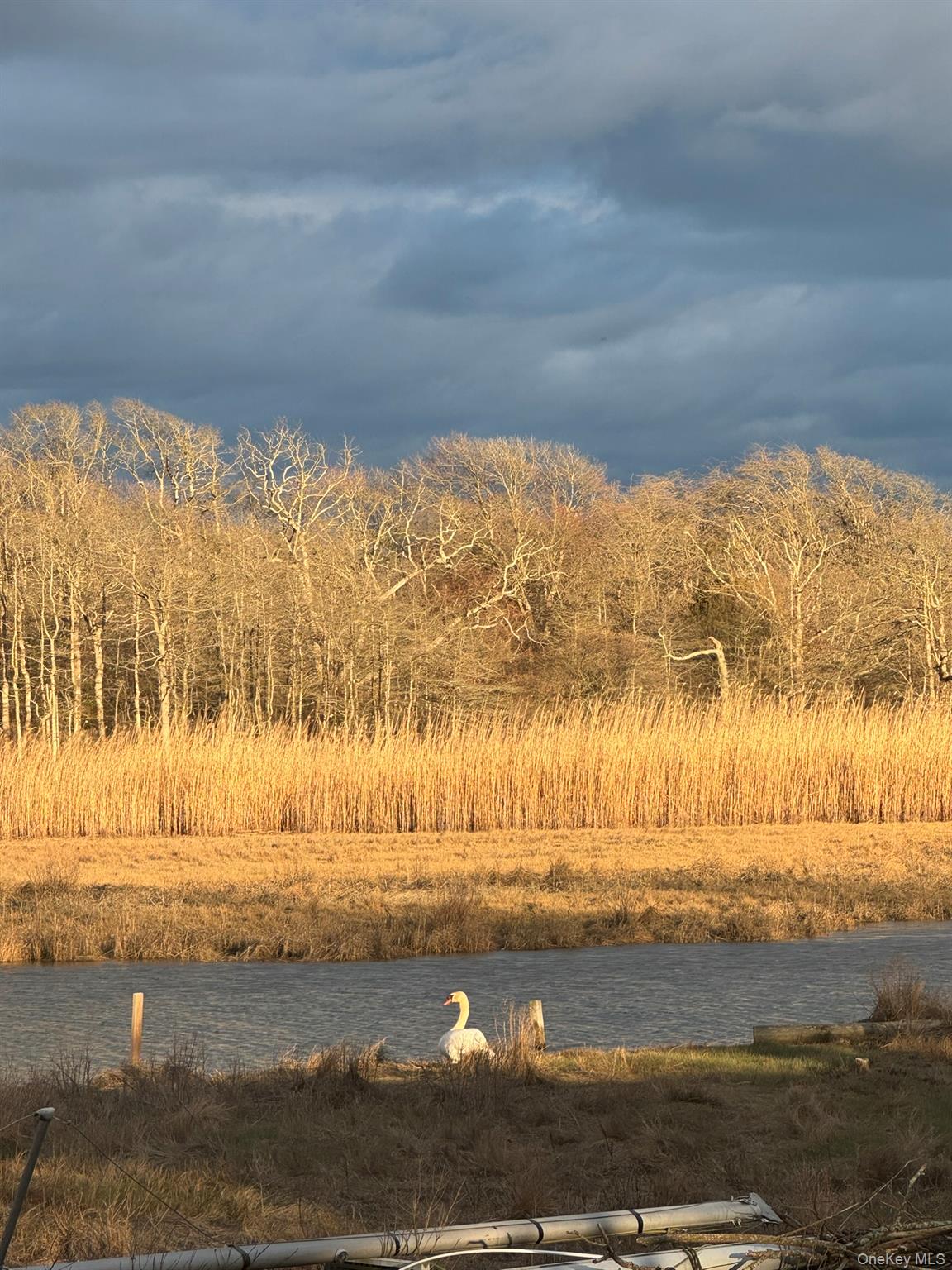 123 Johns Neck Road — photo 37